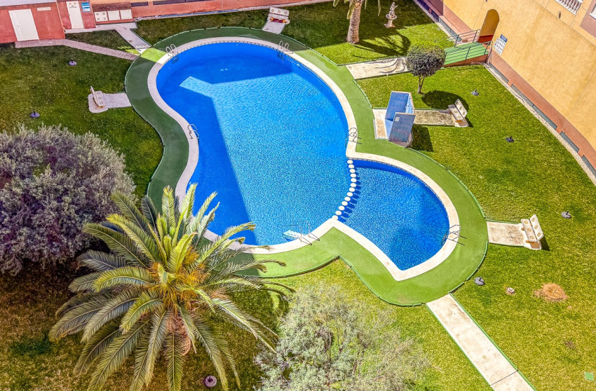 Revente - Appartement -
Torrevieja - Parque de las Naciones