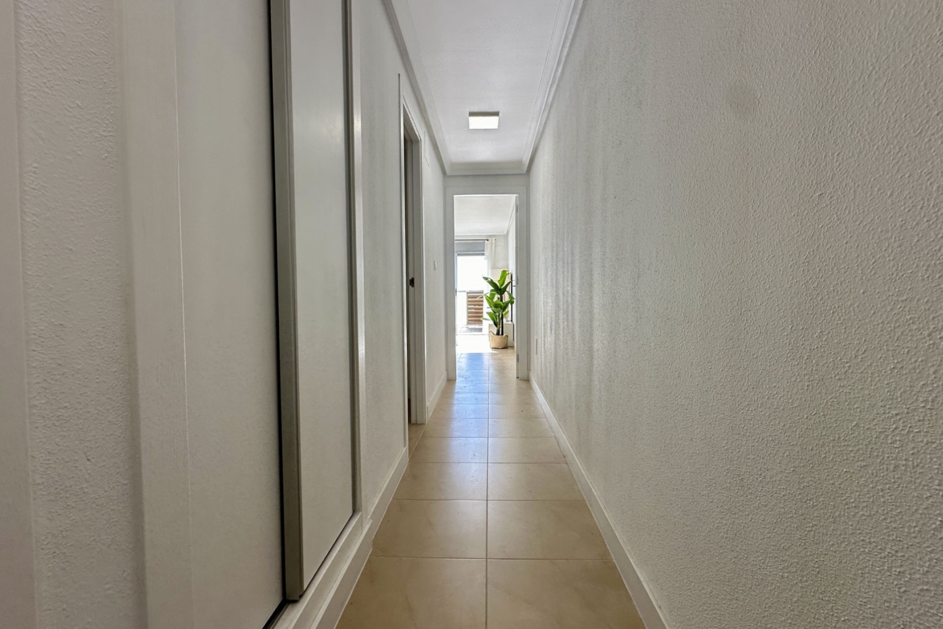 Revente - Appartement -
Torrevieja