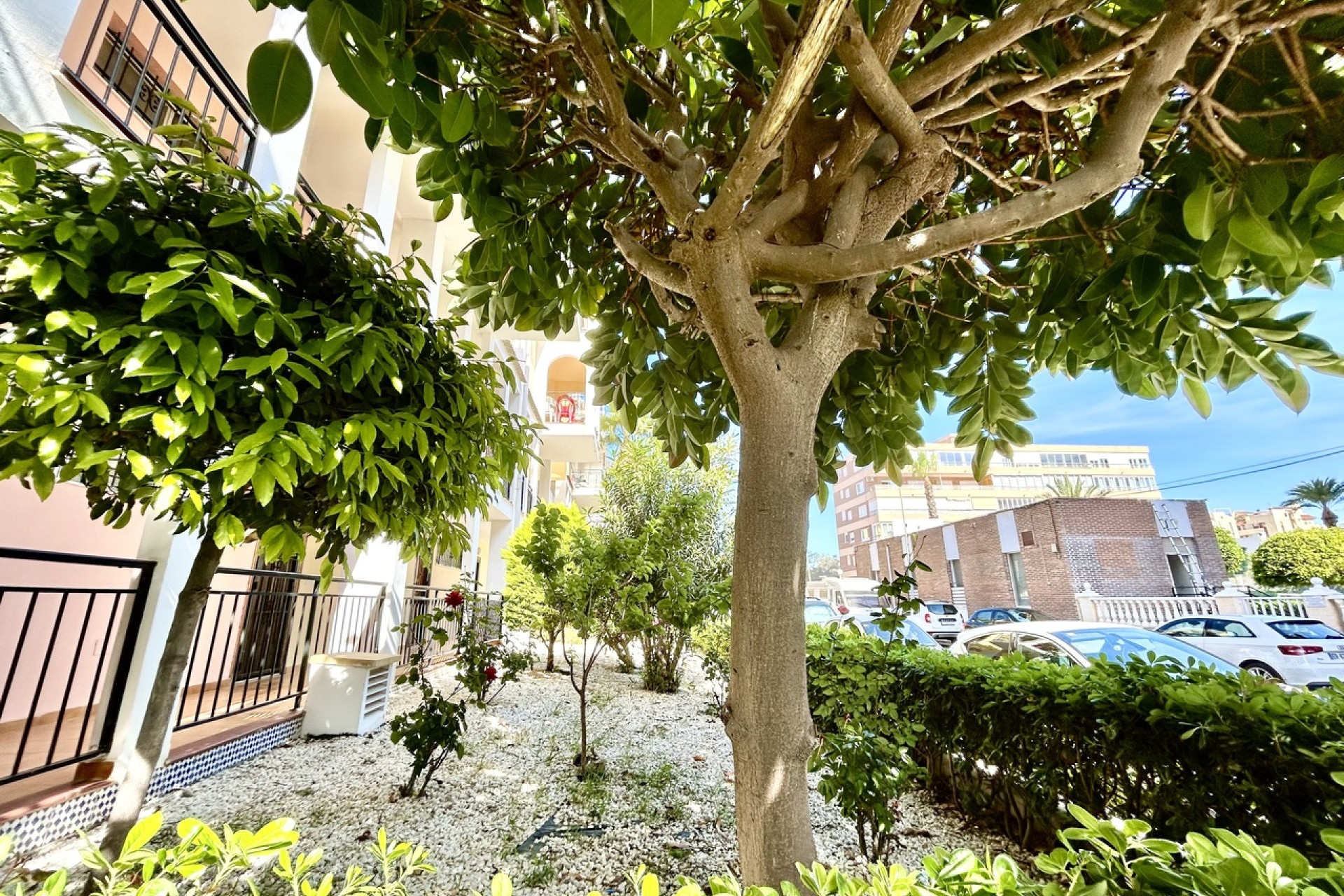 Revente - Appartement -
Torrevieja