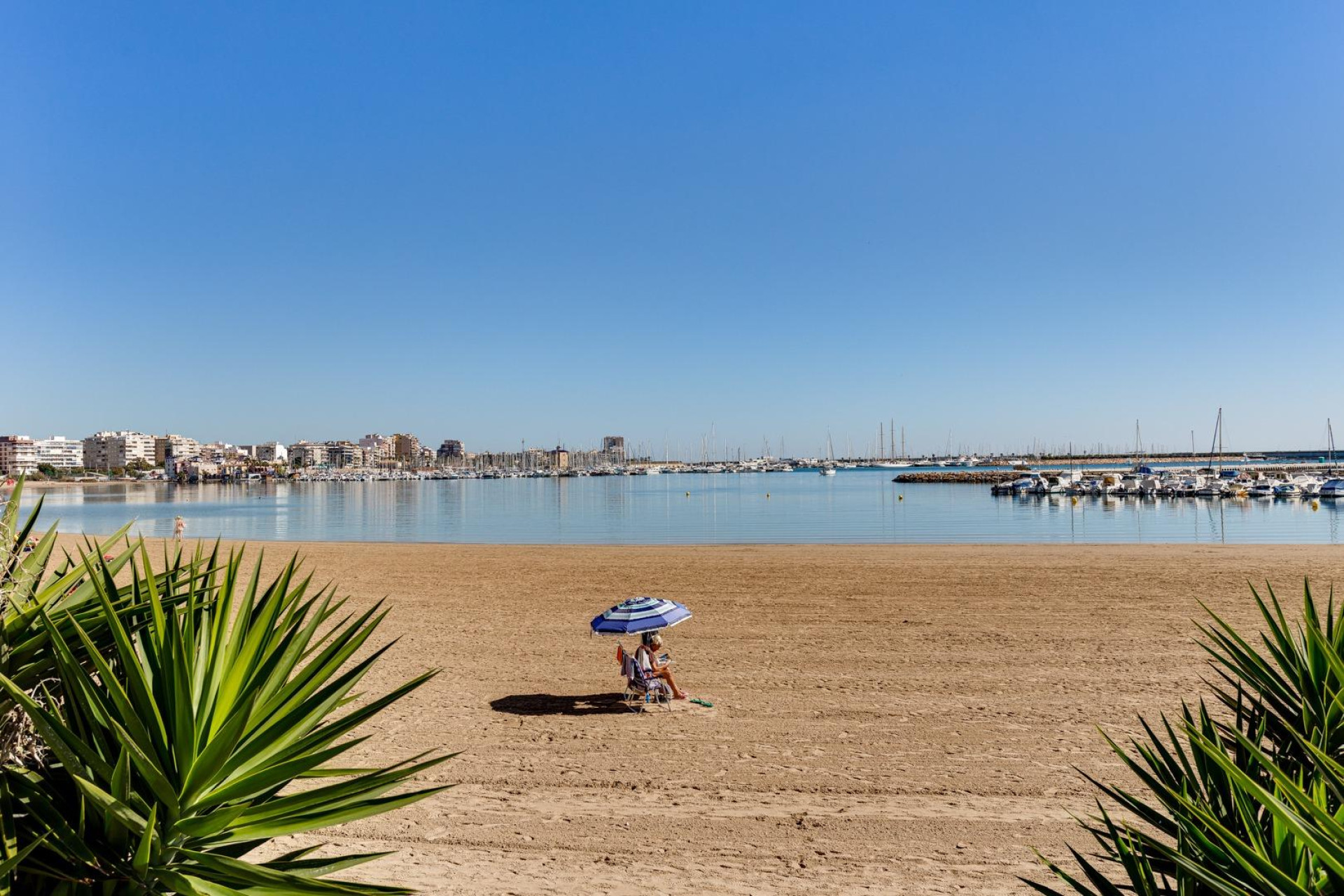 Revente - Bungalow -
Torrevieja - Centro - Muelle Pesquero
