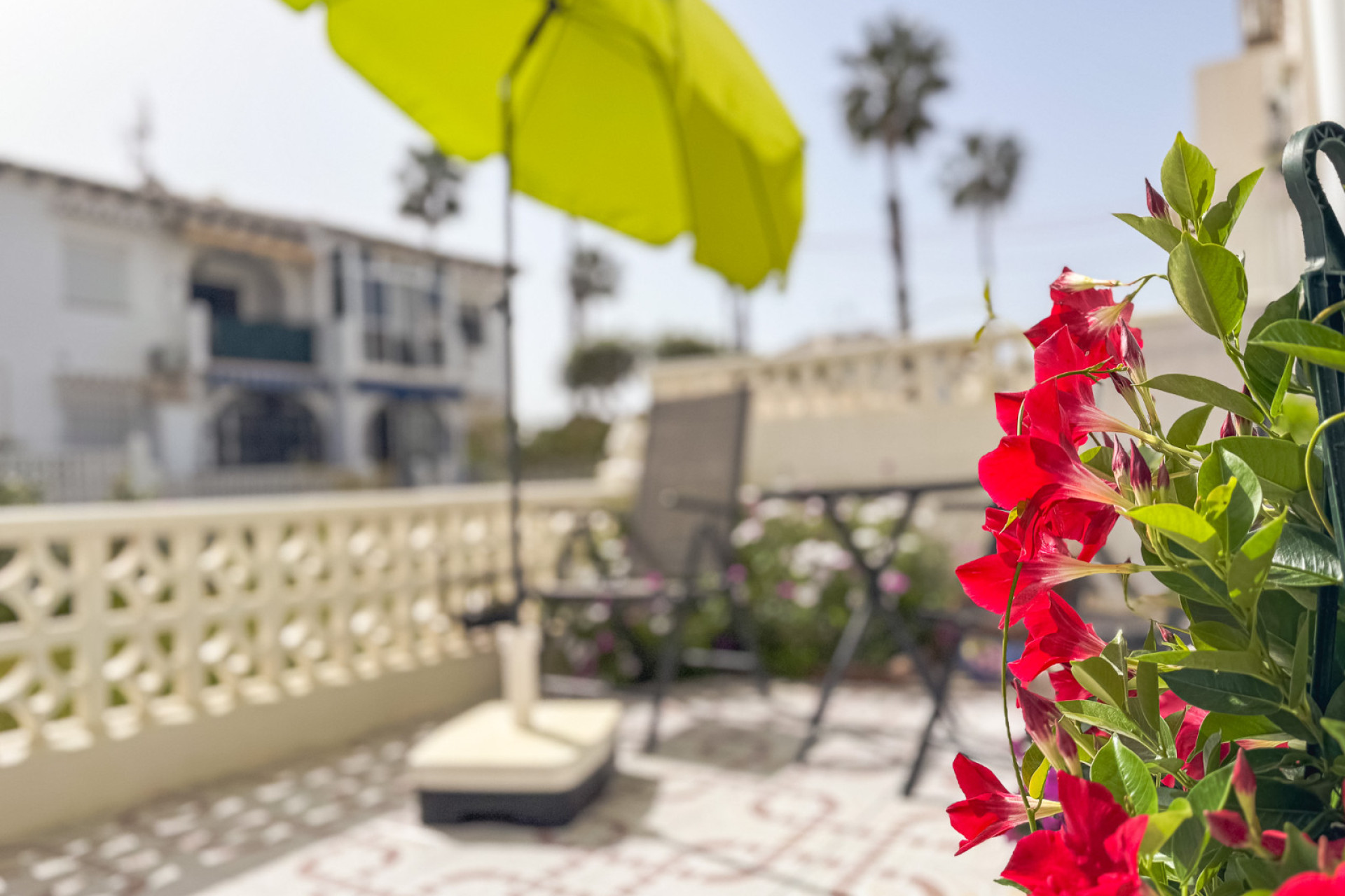 Revente - Bungalow -
Torrevieja - Lago Jardin