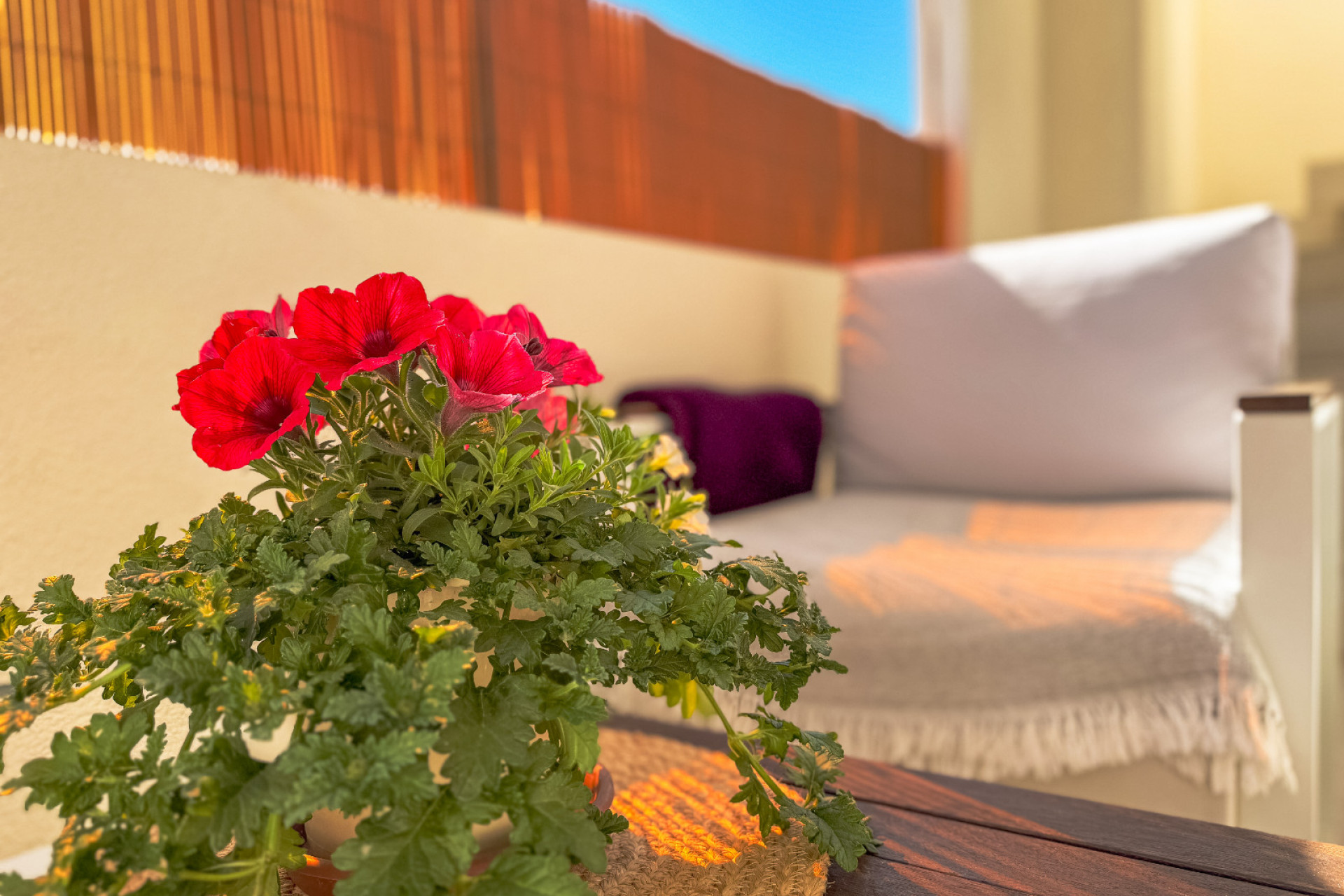 Revente - Bungalow -
Torrevieja - Los Altos