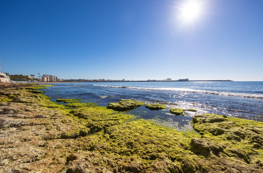 Revente - Bungalow -
Torrevieja - Playa de los Naufragos