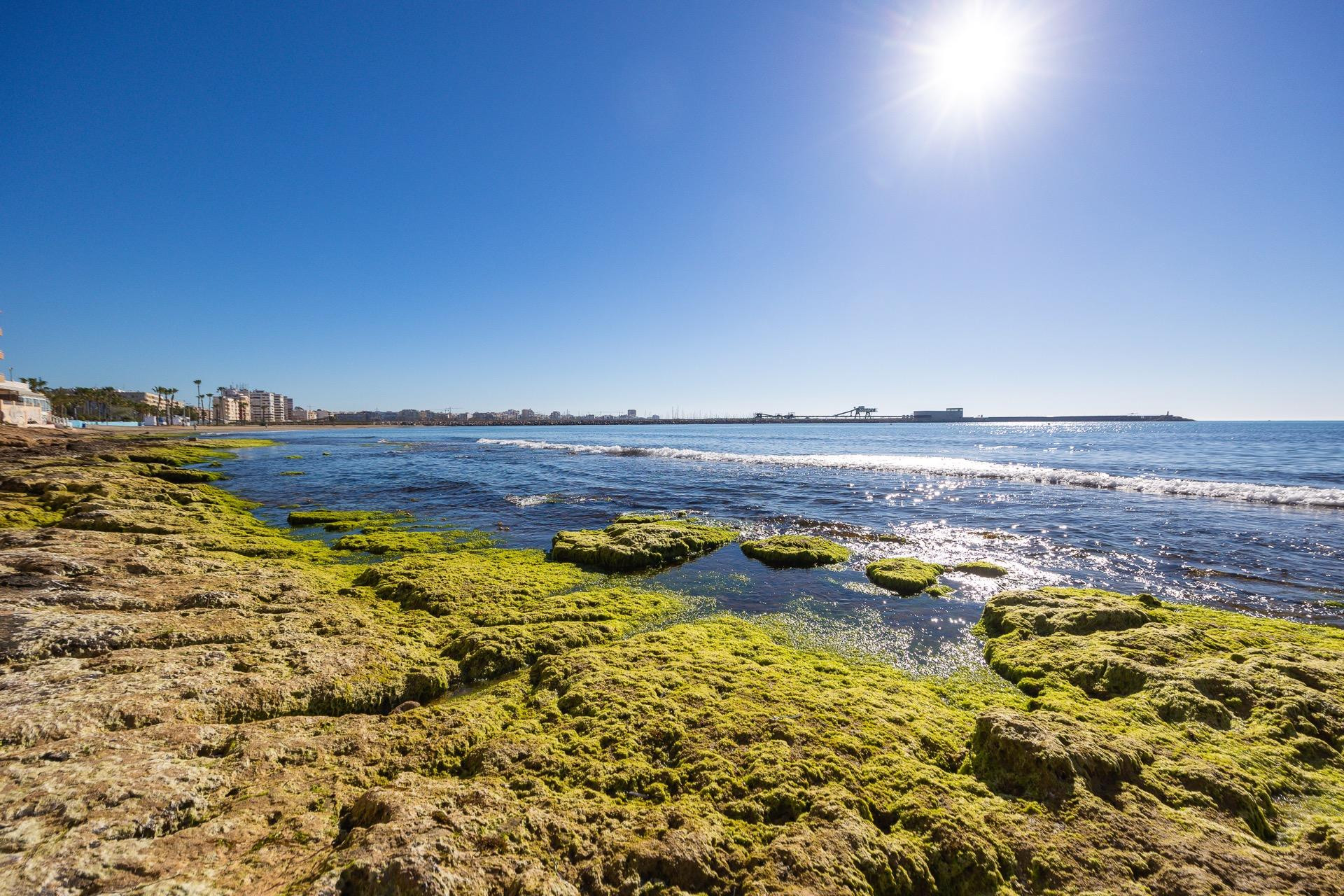 Revente - Bungalow -
Torrevieja - Playa de los Naufragos