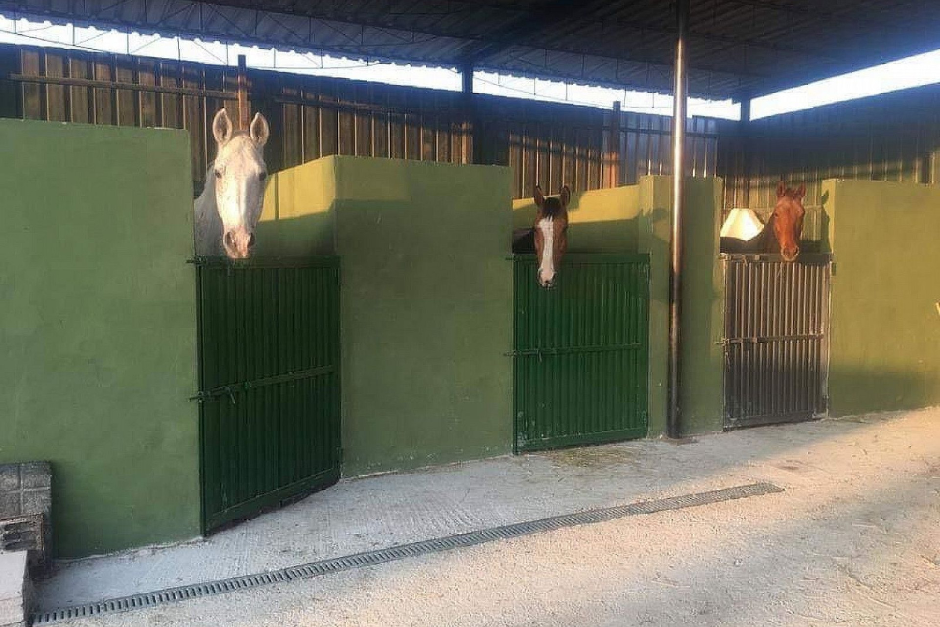 Revente - Local commercial -
Fortuna