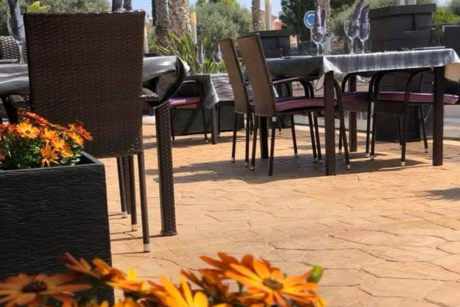 Revente - Local commercial -
Guardamar del Segura - Guardamar