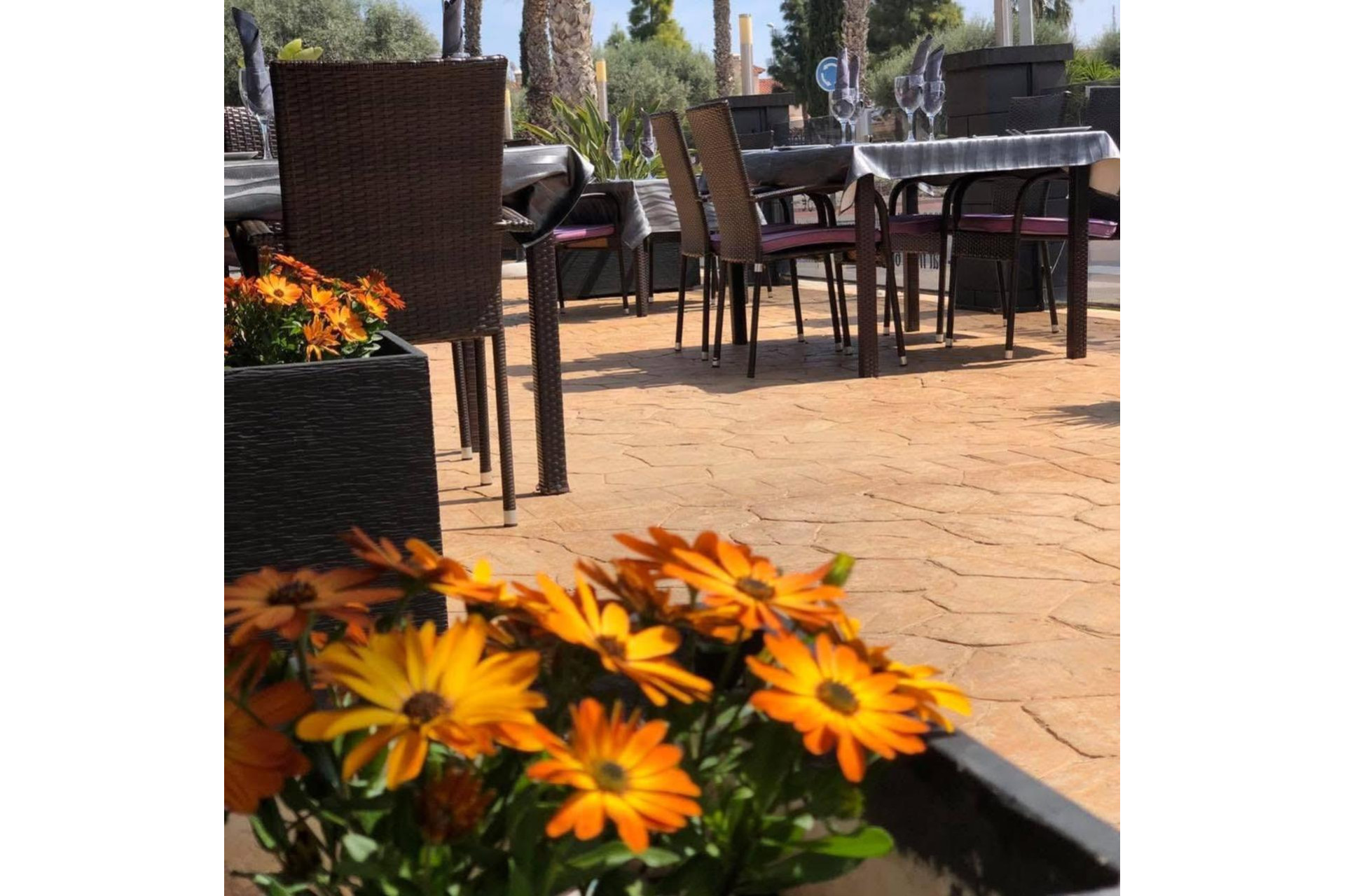 Revente - Local commercial -
Guardamar del Segura - Guardamar
