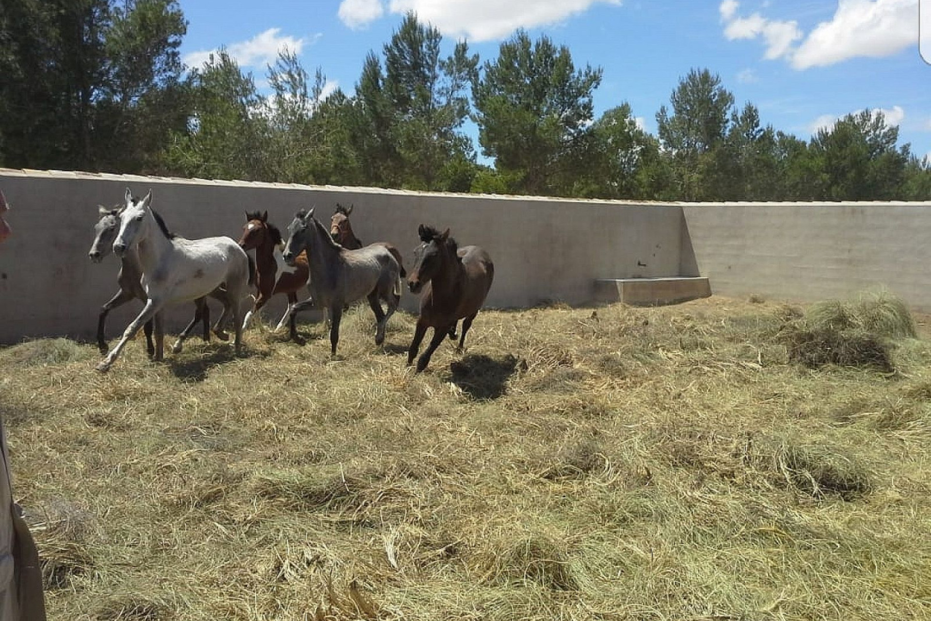 Revente - Local commercial -
Yecla