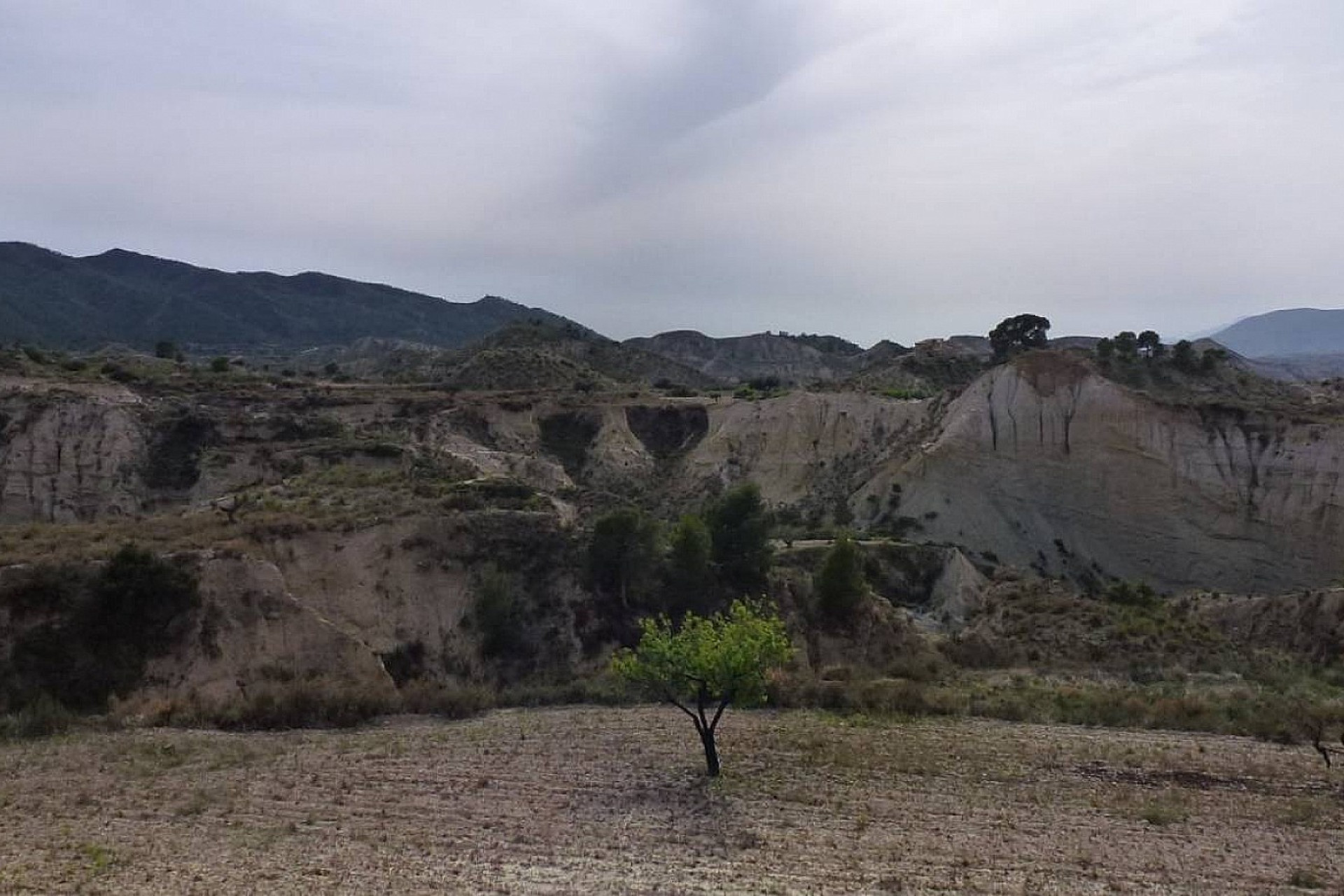 Revente - Maison de campagne -
Abanilla