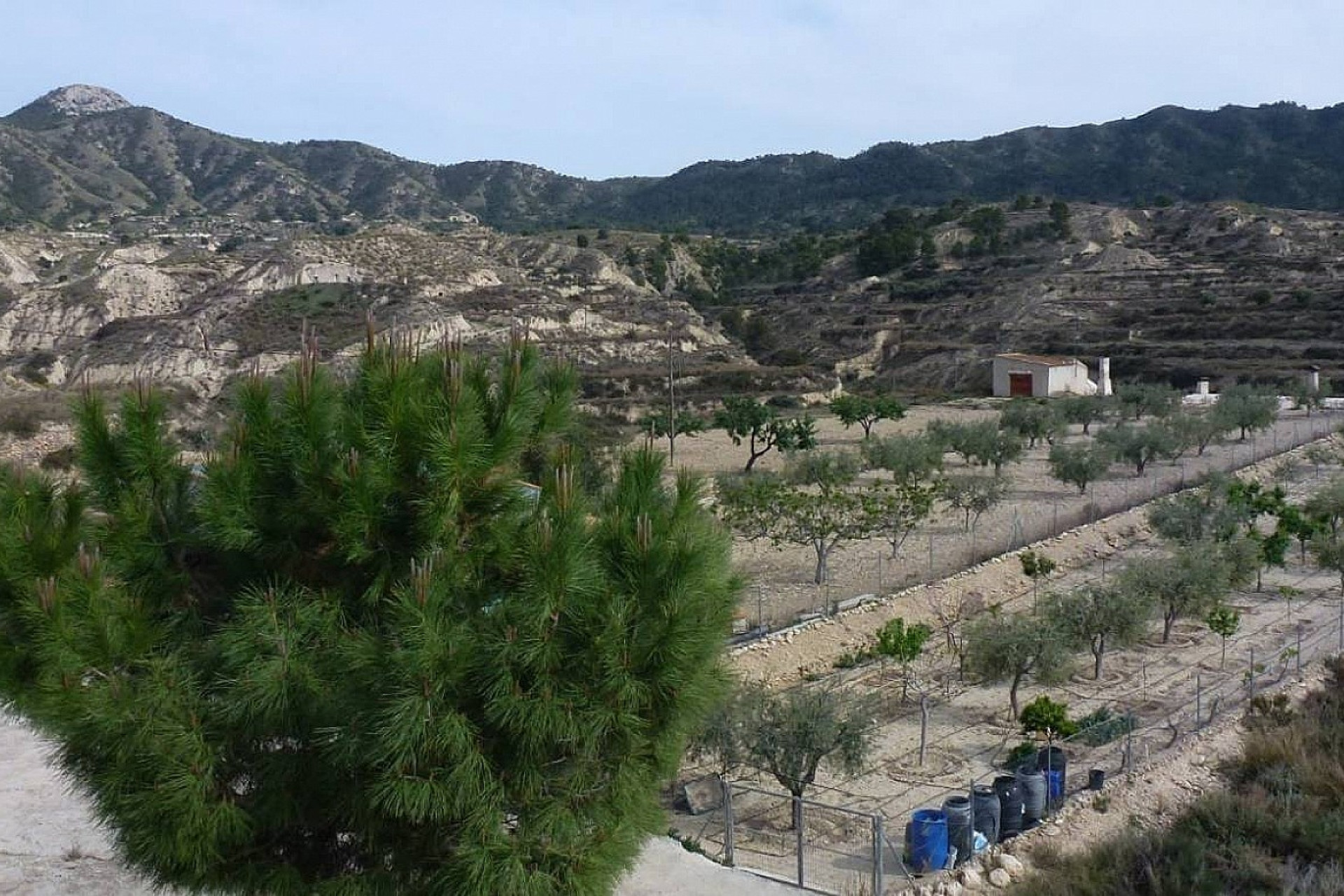 Revente - Maison de campagne -
Abanilla