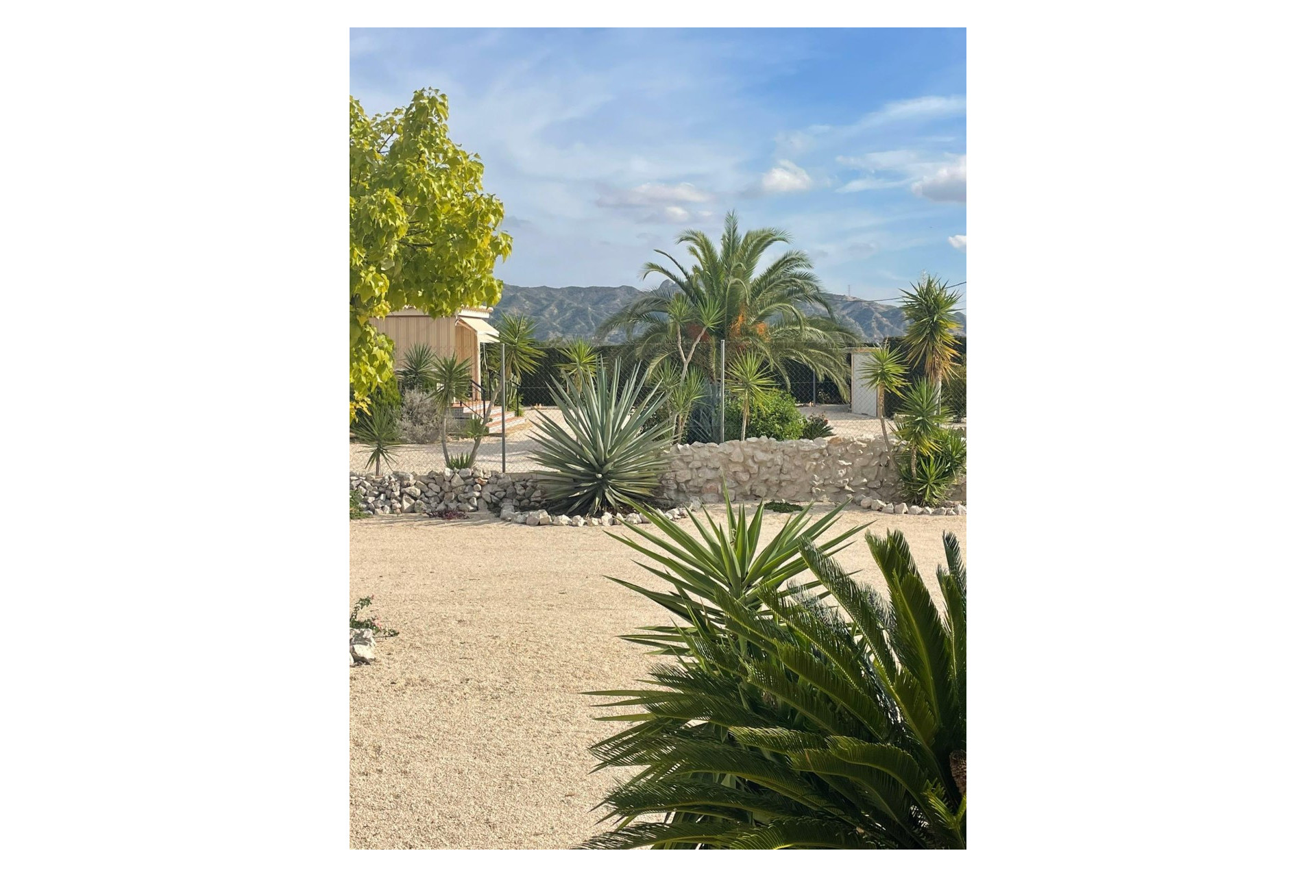 Revente - Maison de campagne -
Abanilla