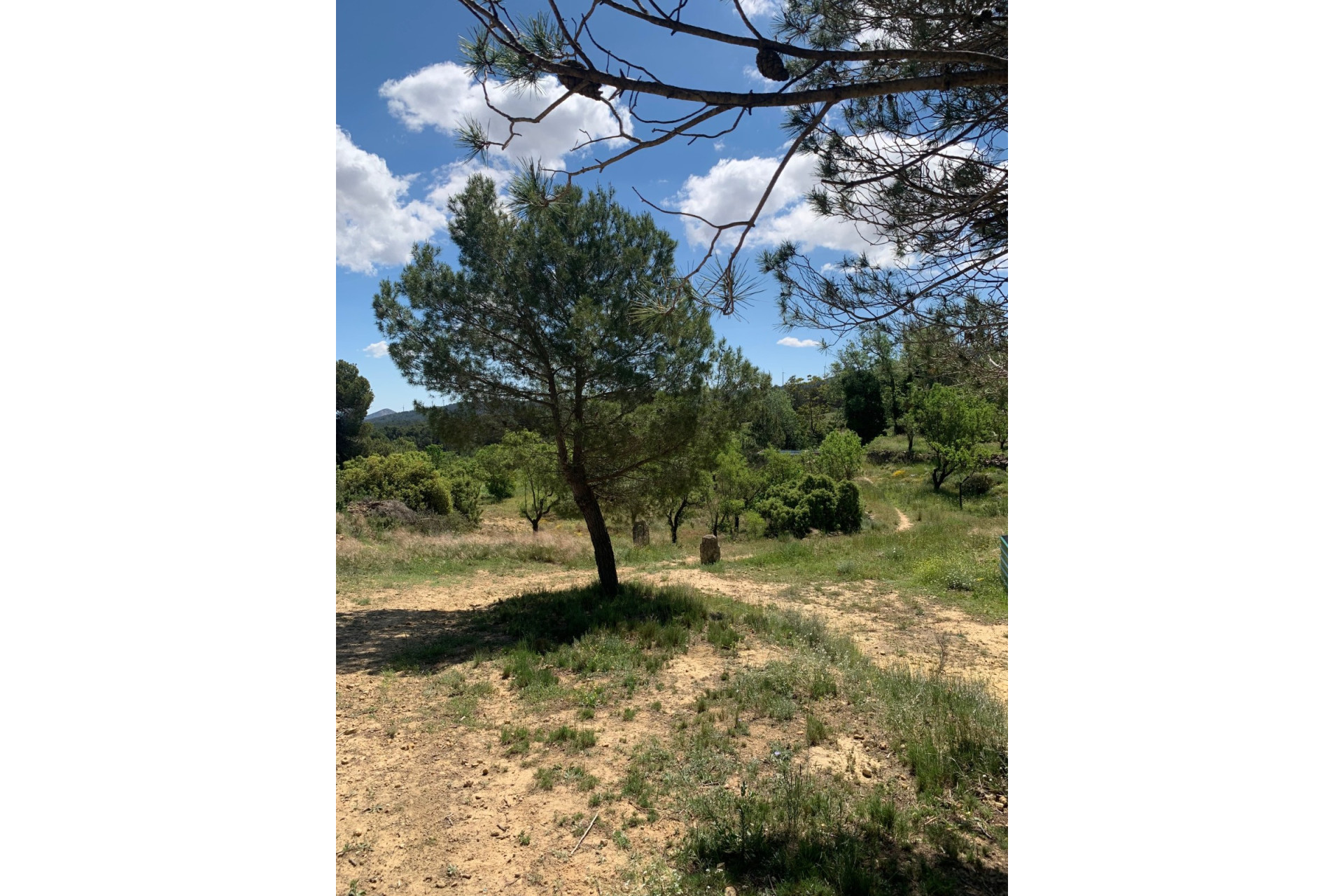 Revente - Maison de campagne -
Almansa