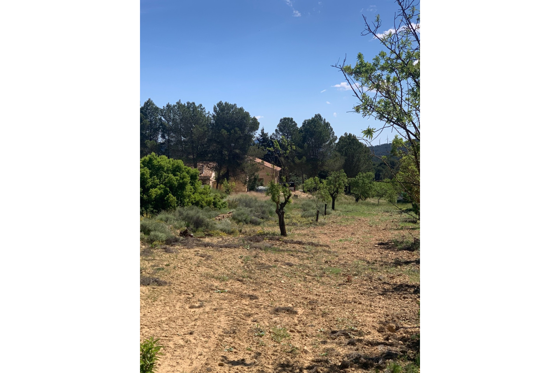 Revente - Maison de campagne -
Almansa