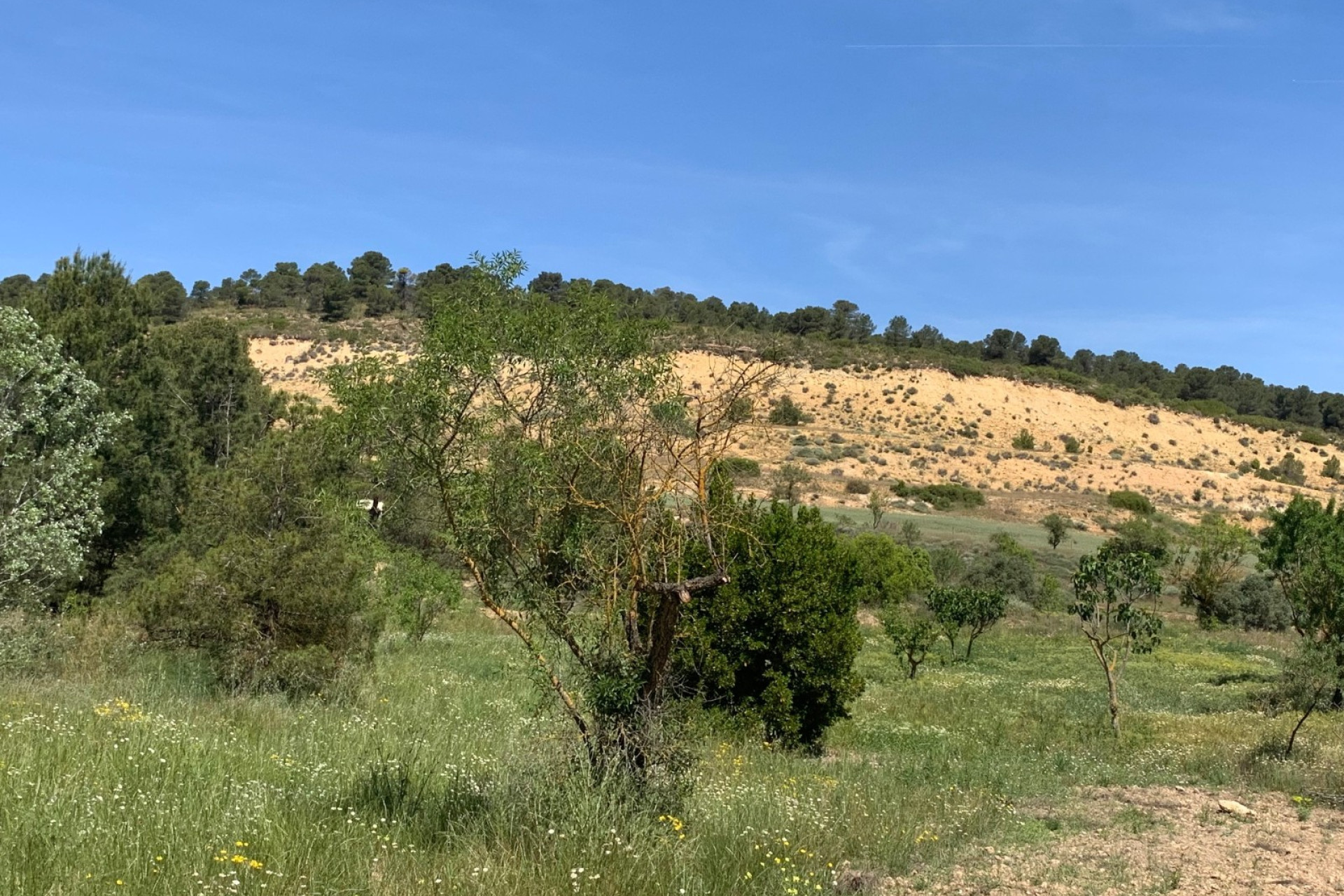 Revente - Maison de campagne -
Almansa