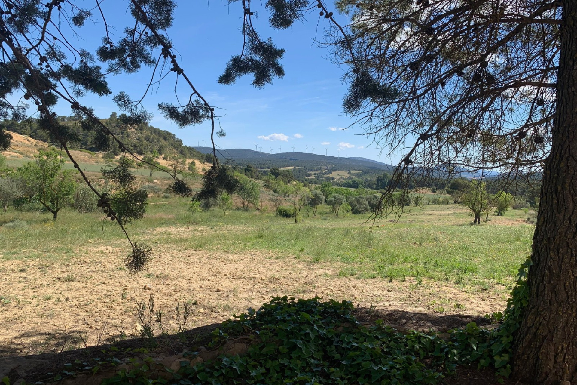 Revente - Maison de campagne -
Almansa