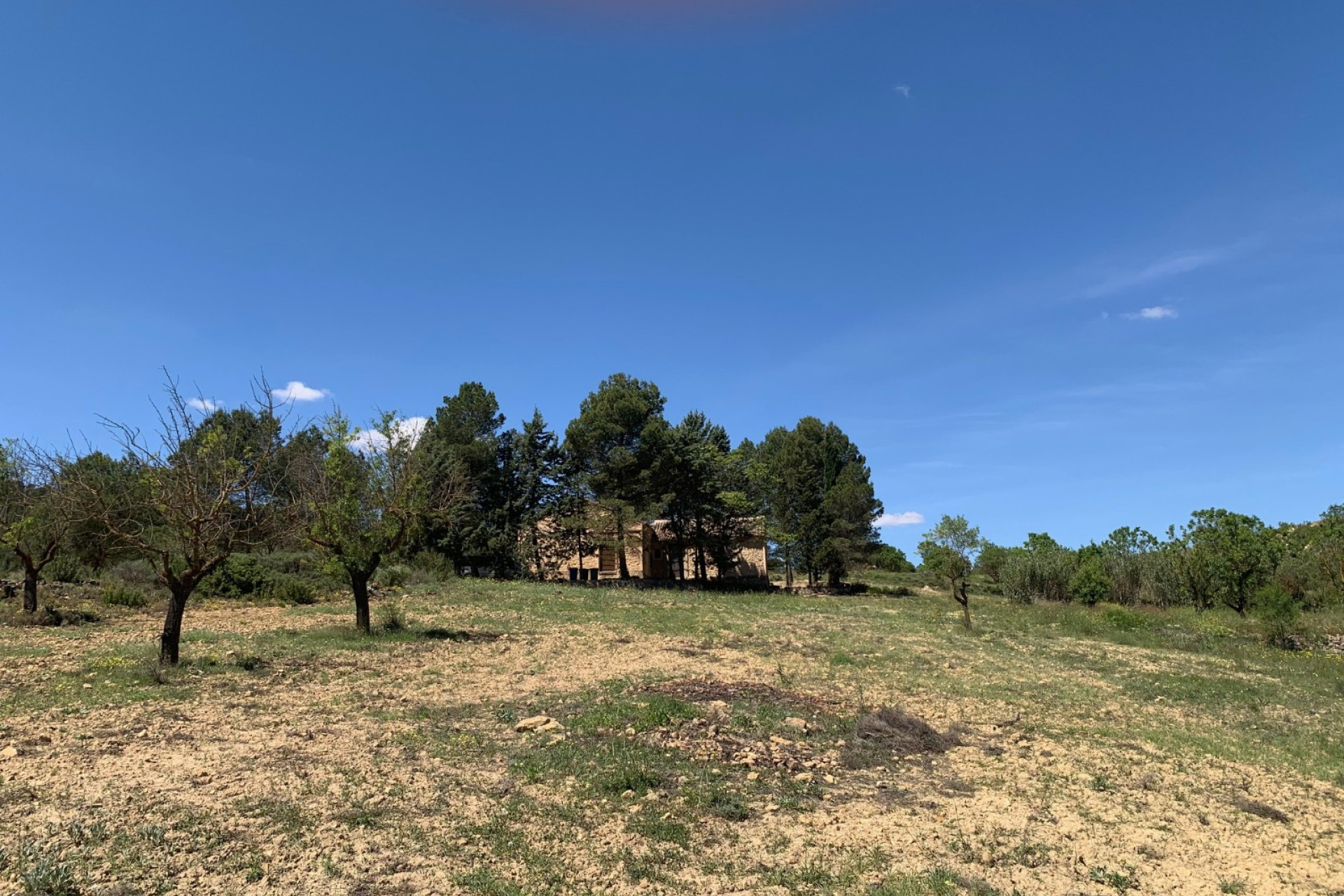 Revente - Maison de campagne -
Almansa