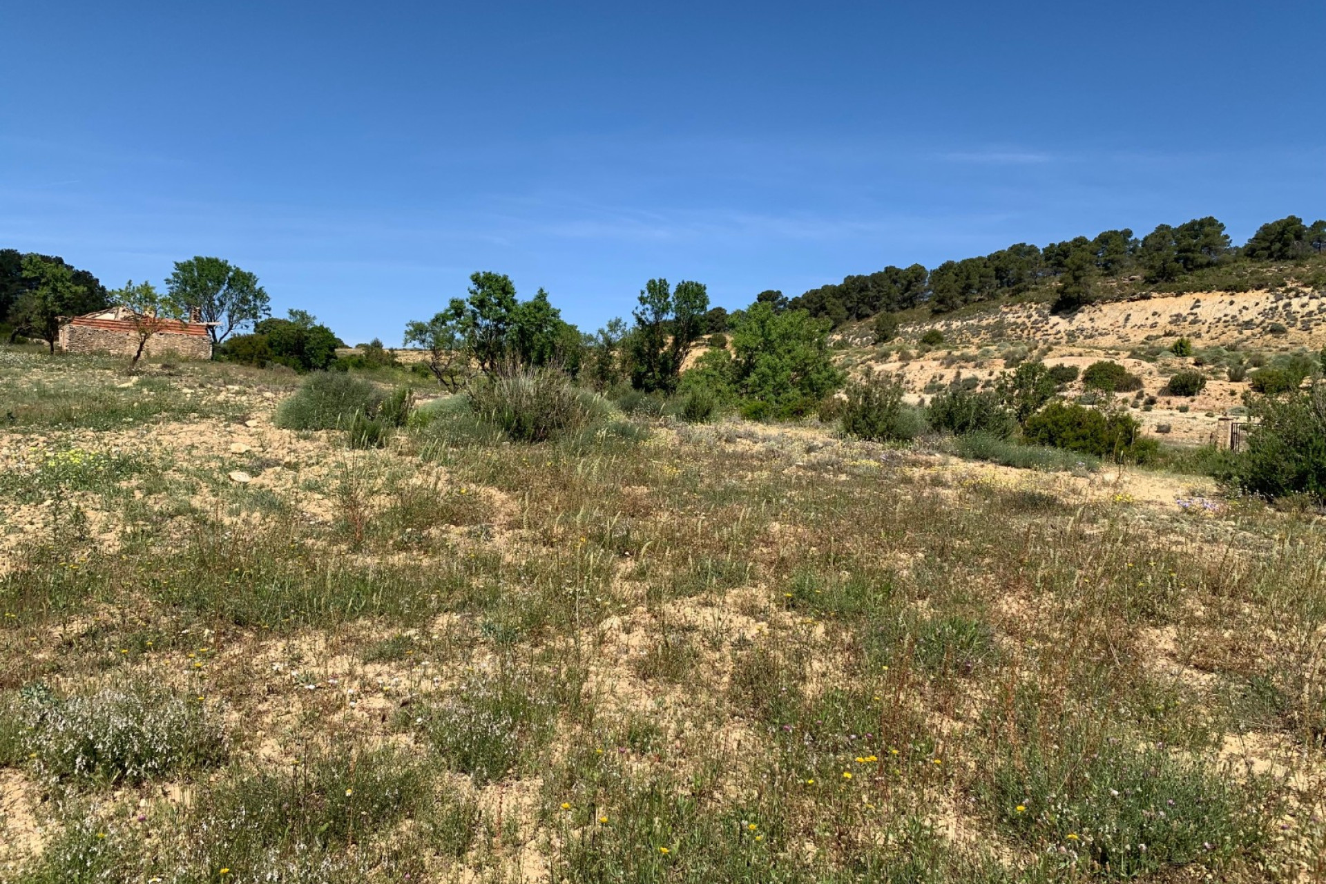 Revente - Maison de campagne -
Almansa
