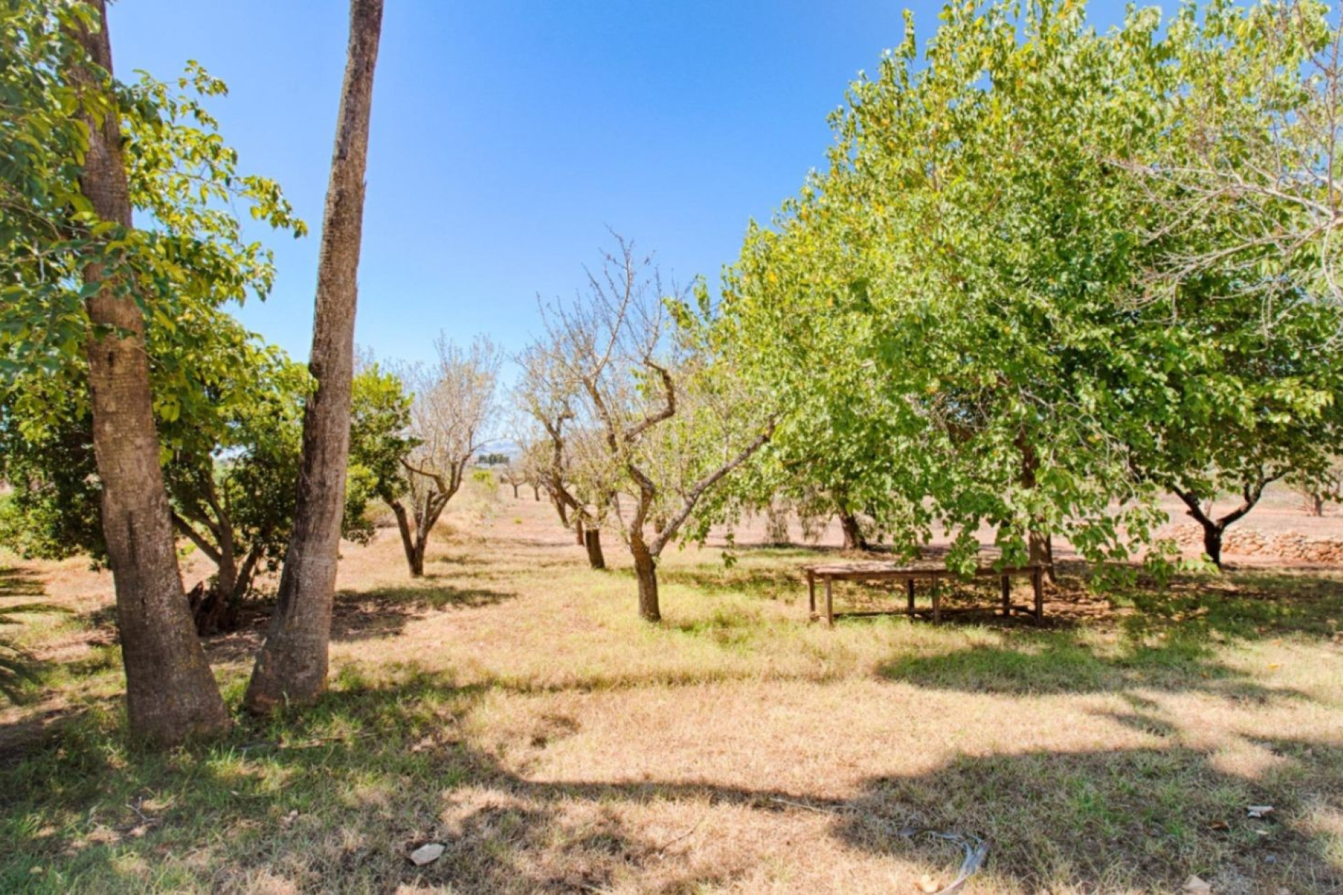 Revente - Maison de campagne -
Benissa