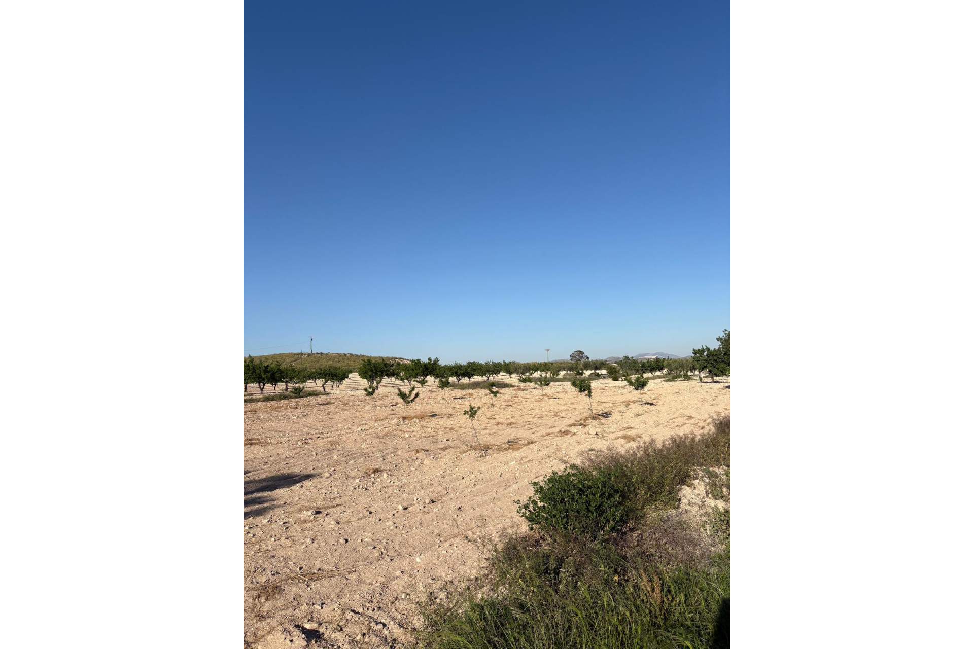 Revente - Maison de campagne -
Cañada del Trigo - Canada del Trigo Murcia