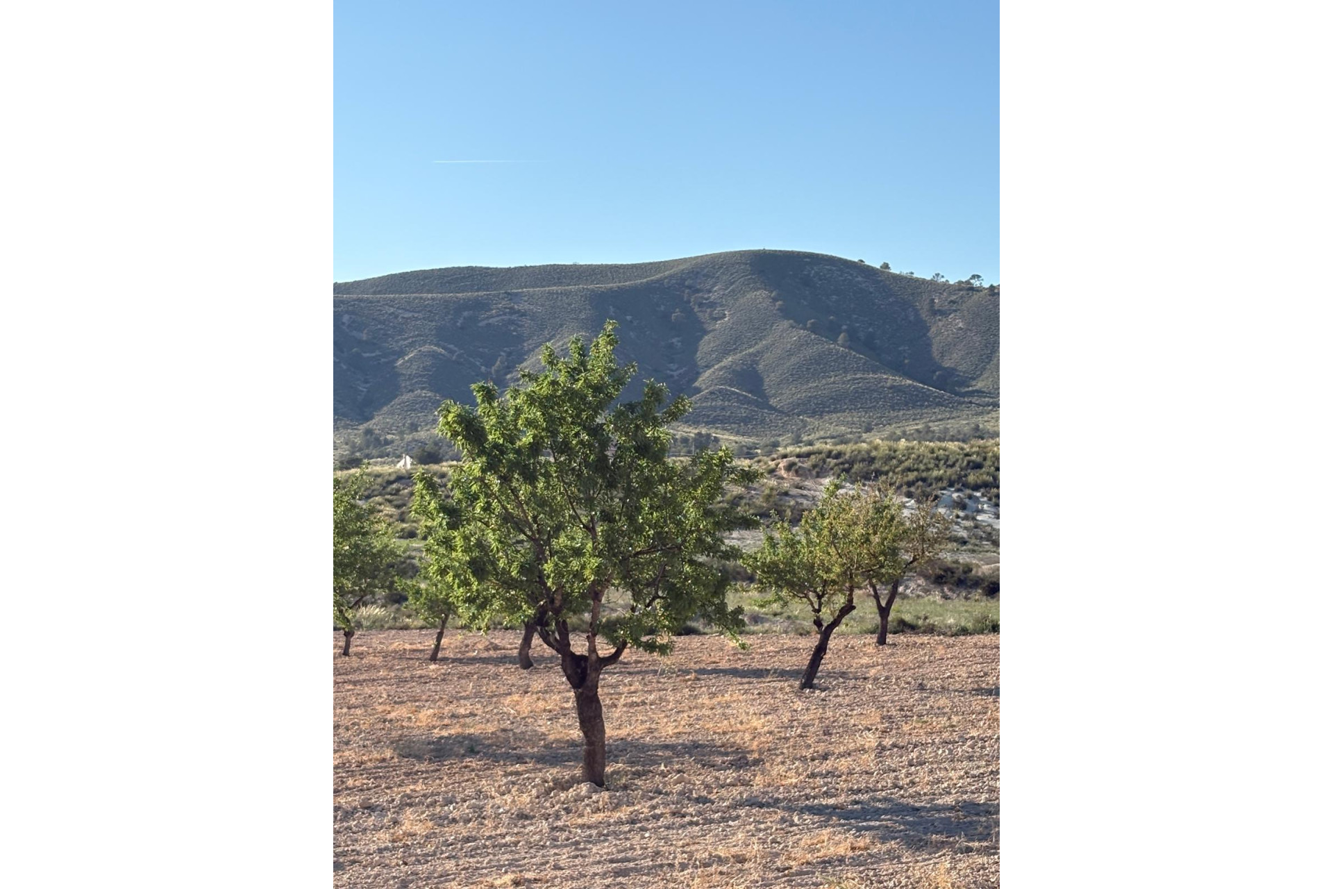 Revente - Maison de campagne -
Cañada del Trigo - Canada del Trigo Murcia