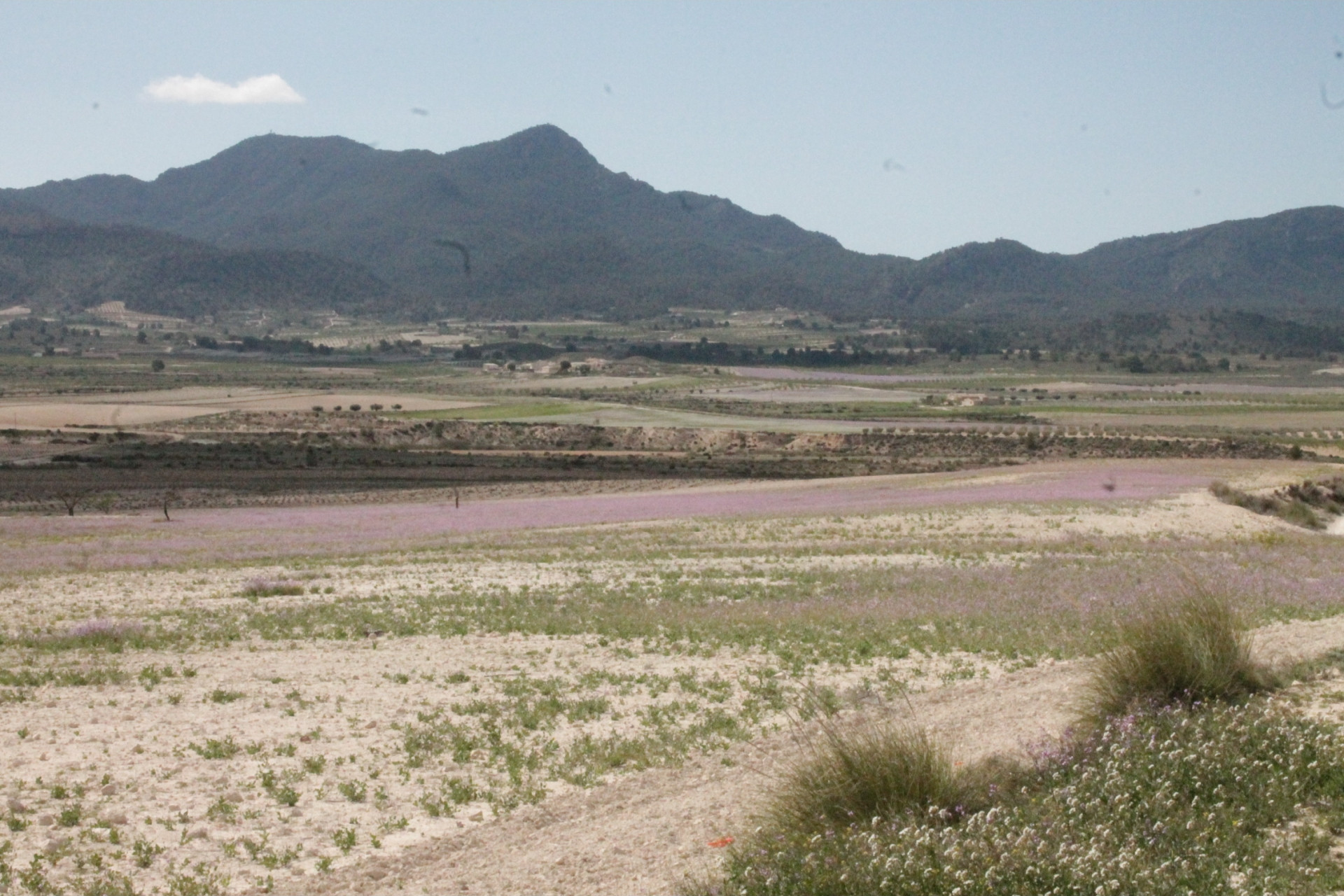 Revente - Maison de campagne -
Cañada del Trigo - Canada del Trigo Murcia