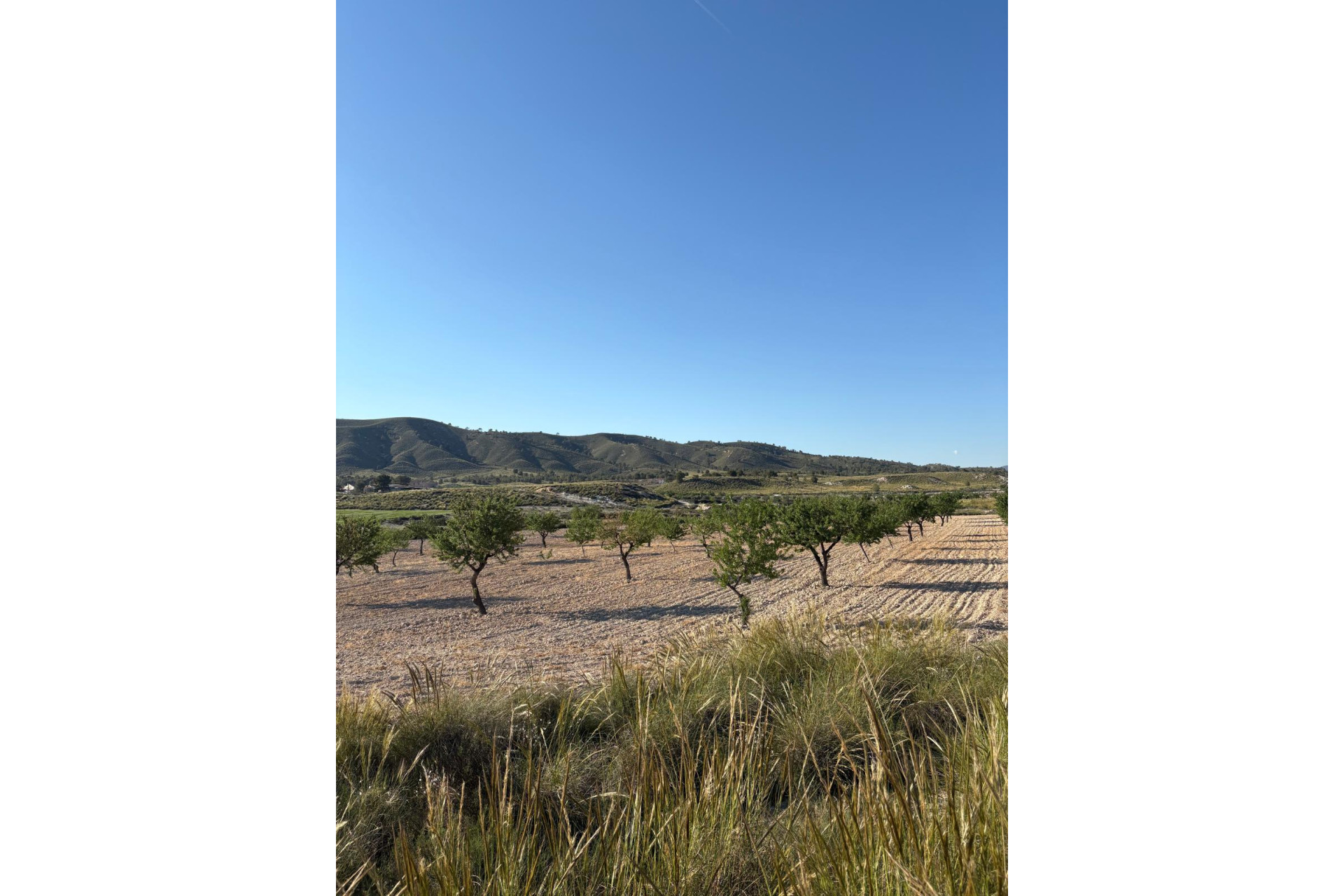 Revente - Maison de campagne -
Cañada del Trigo - Canada del Trigo Murcia