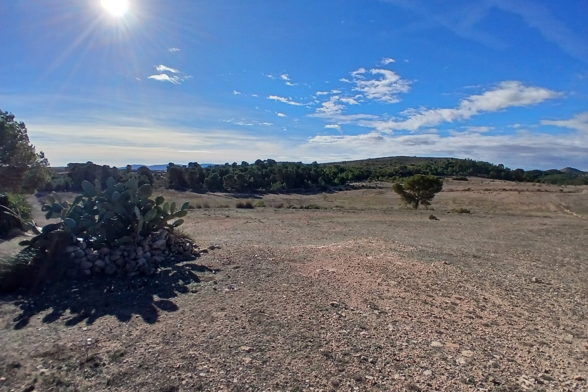 Revente - Maison de campagne -
Caudete