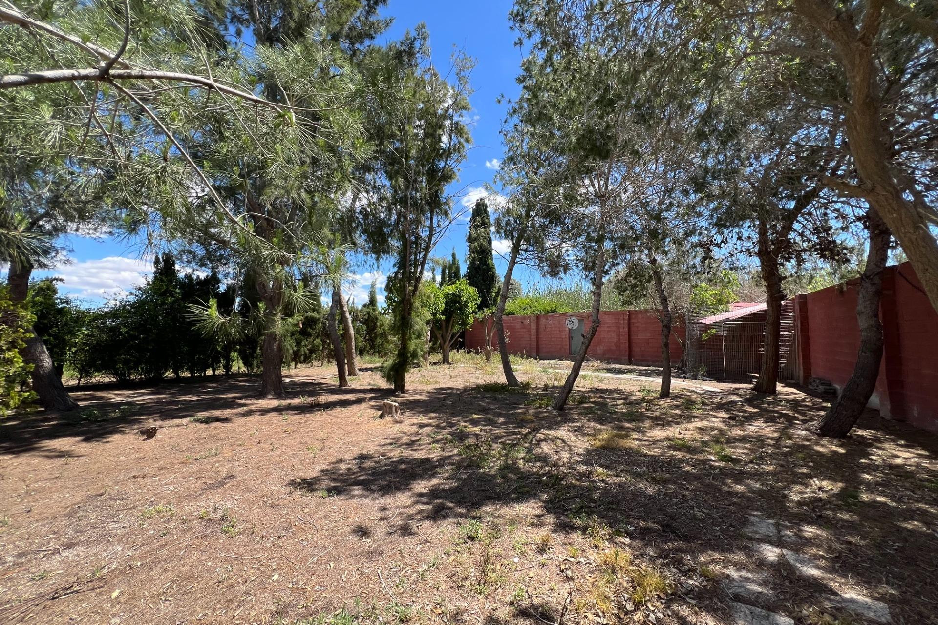 Revente - Maison de campagne -
Dolores - Comunidad Valenciana