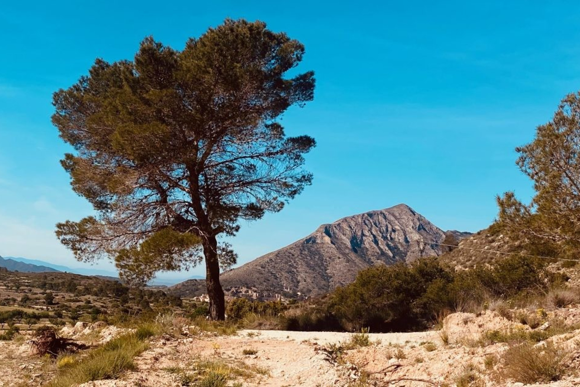 Revente - Maison de campagne -
Hondón de las Nieves - La Canalosa