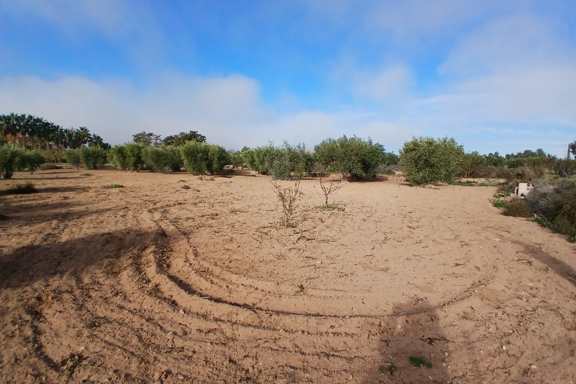 Revente - Maison de campagne -
Jumilla