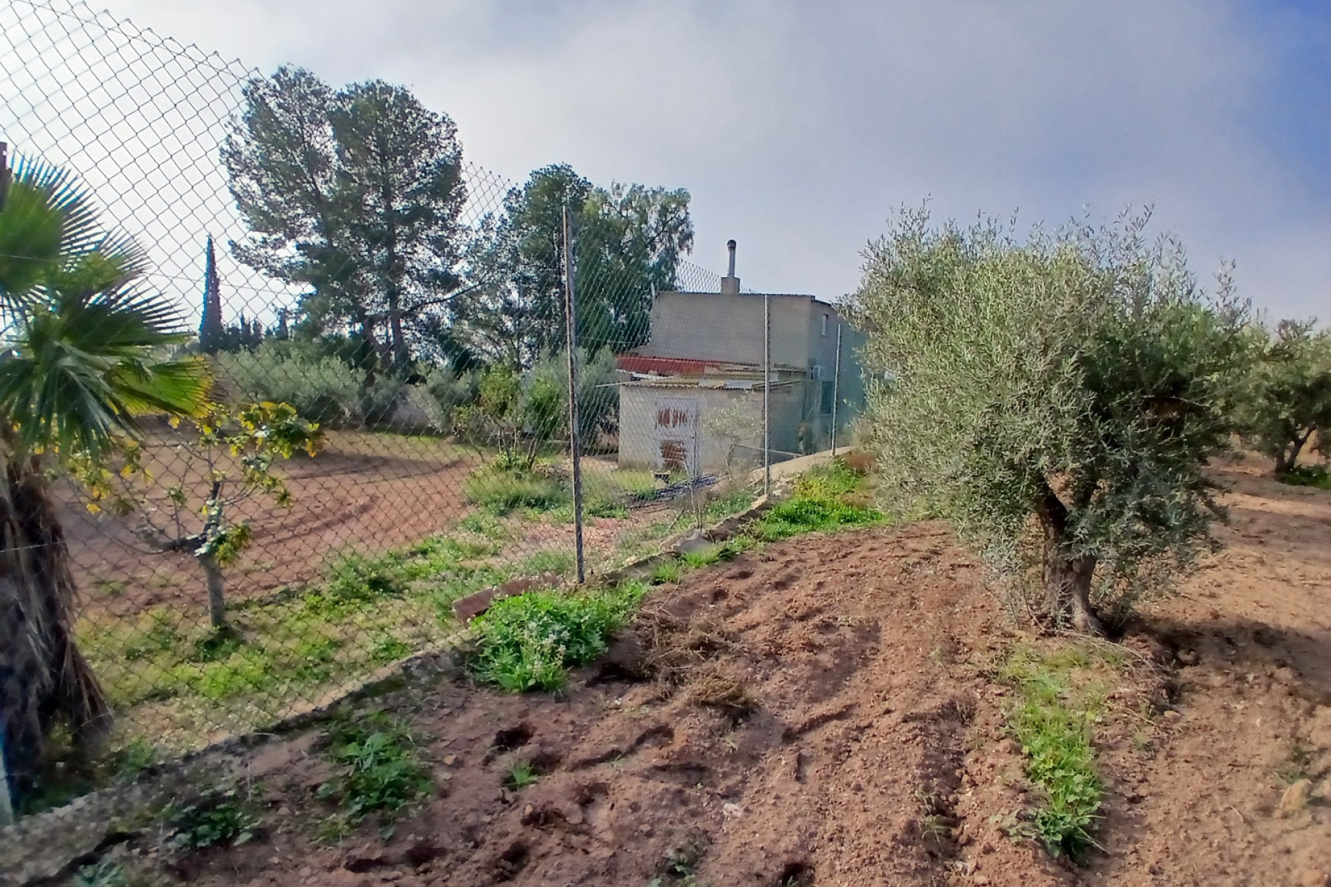 Revente - Maison de campagne -
Jumilla