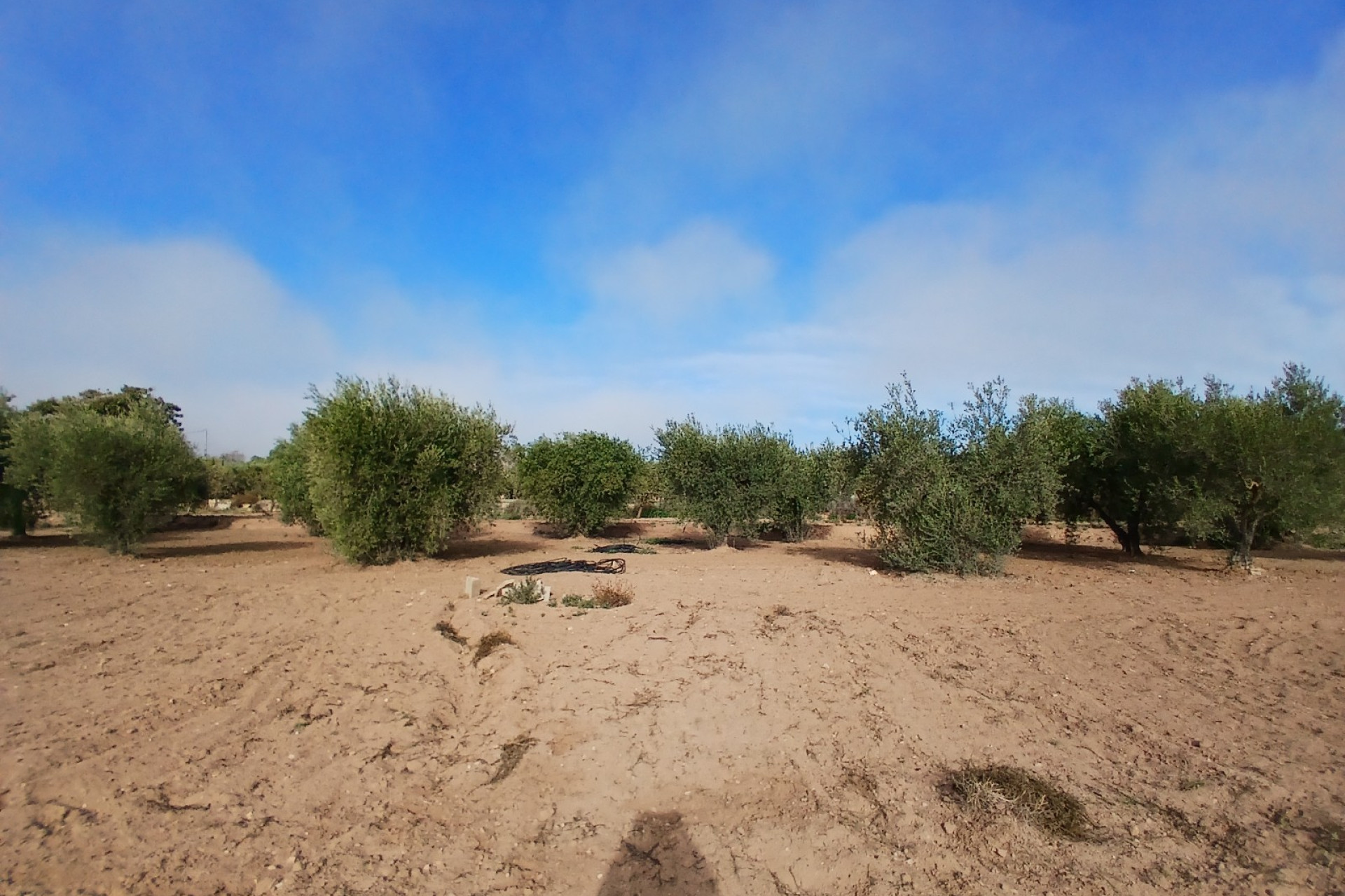 Revente - Maison de campagne -
Jumilla