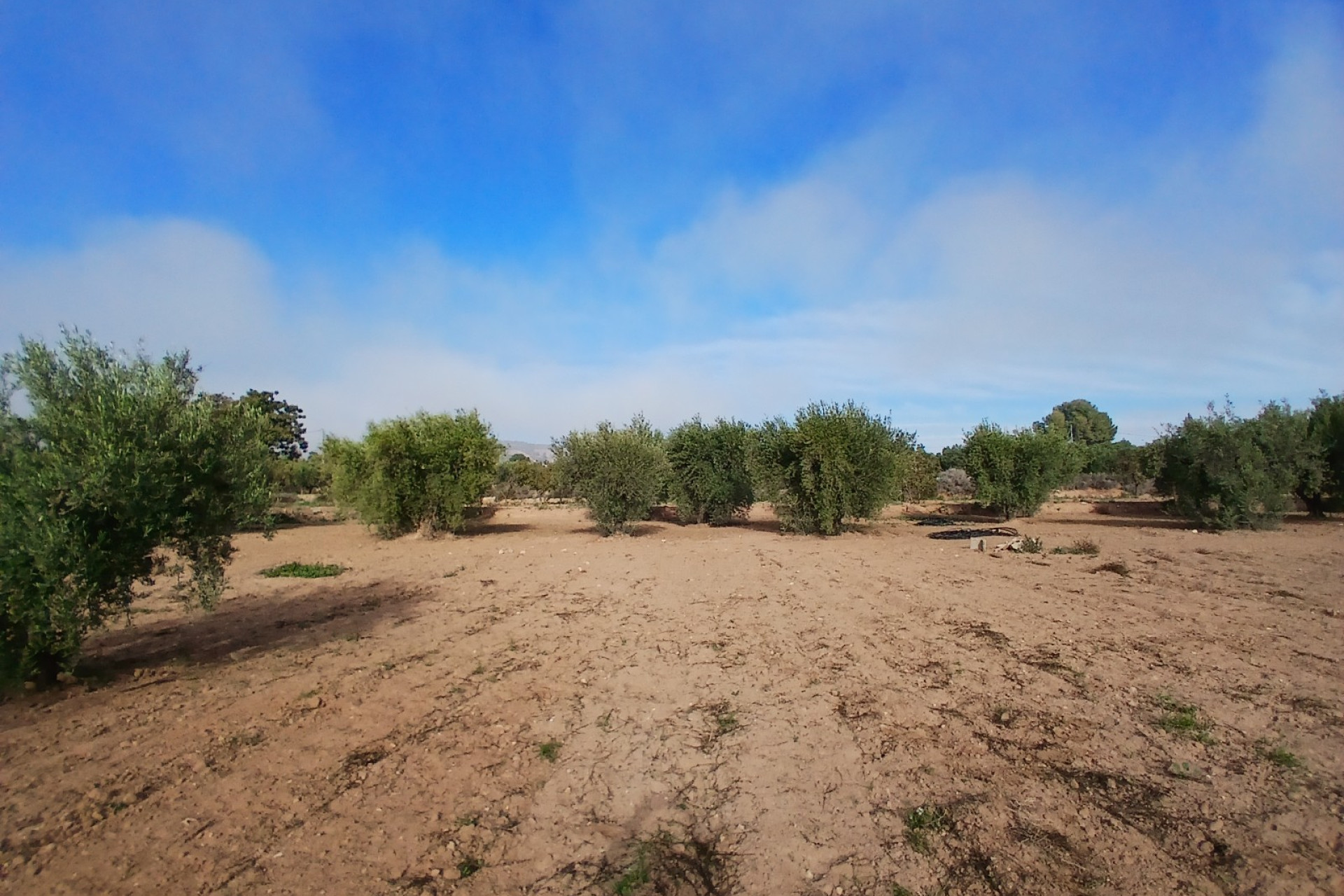 Revente - Maison de campagne -
Jumilla