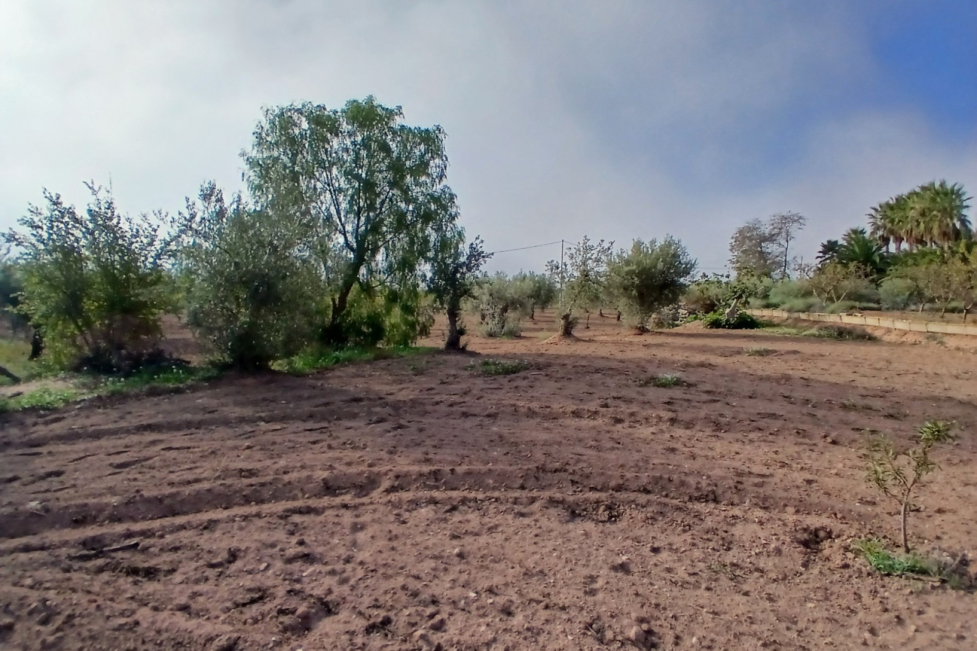 Revente - Maison de campagne -
Jumilla