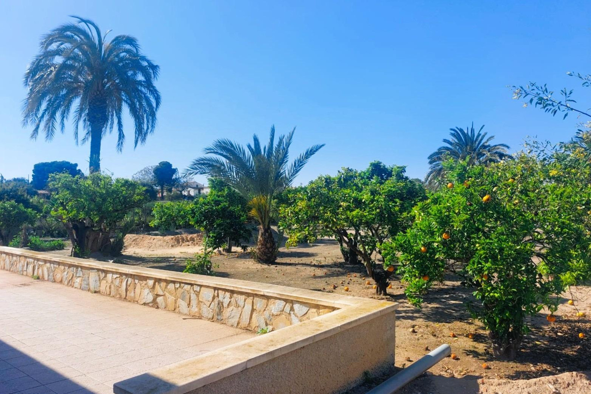 Revente - Maison de campagne -
La Marina - Costa Blanca