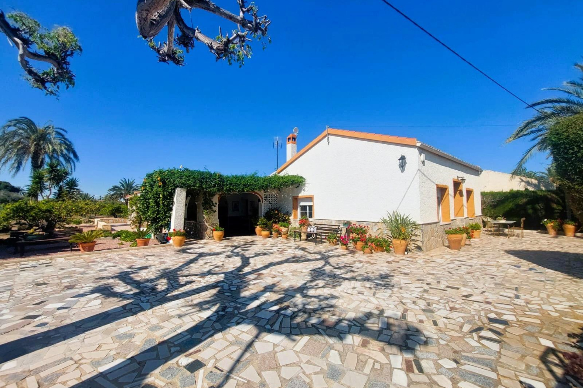 Revente - Maison de campagne -
La Marina - Costa Blanca
