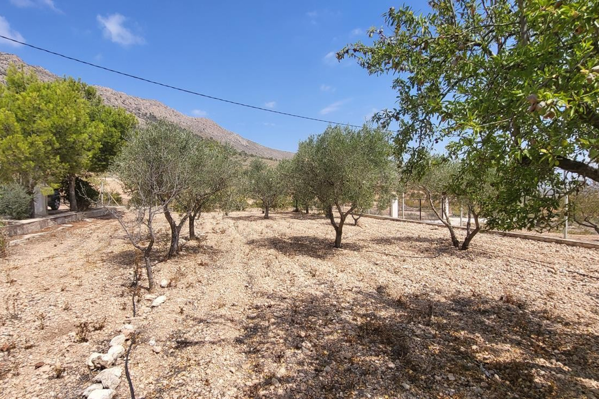 Revente - Maison de campagne -
La Romana - LA ROMANA