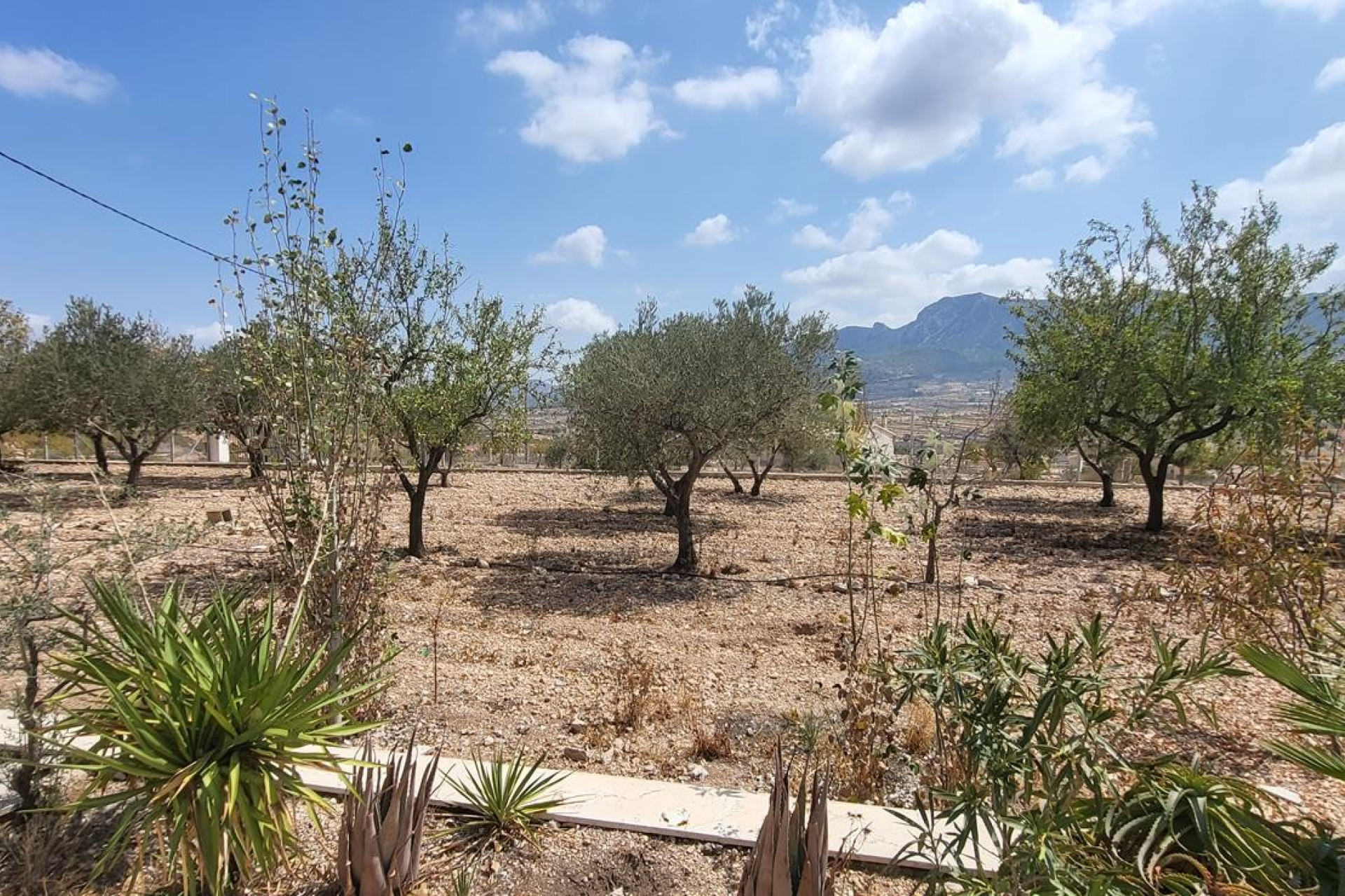 Revente - Maison de campagne -
La Romana - LA ROMANA