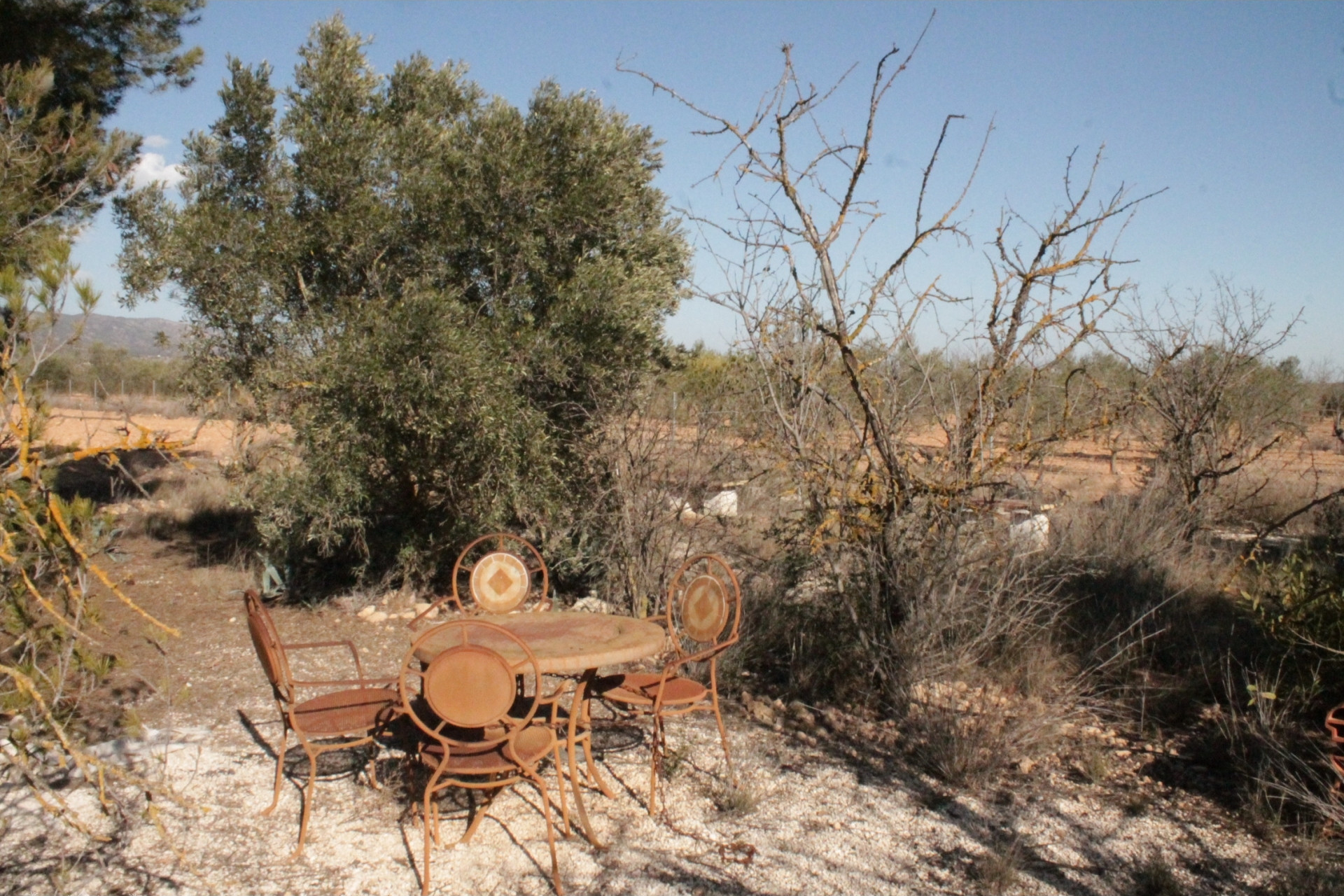 Revente - Maison de campagne -
Lel - Lel Alicante