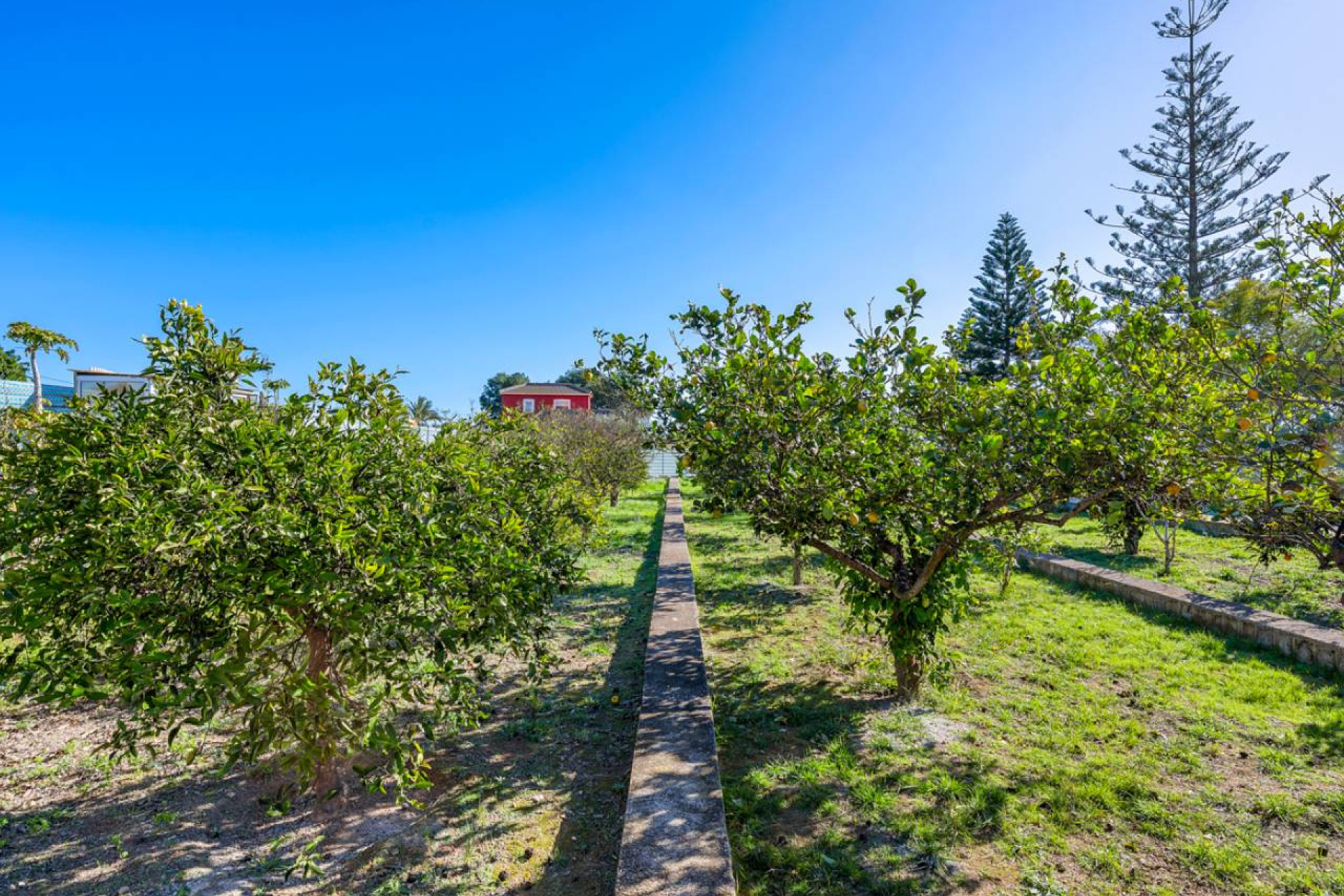 Revente - Maison de campagne -
Los Montesinos