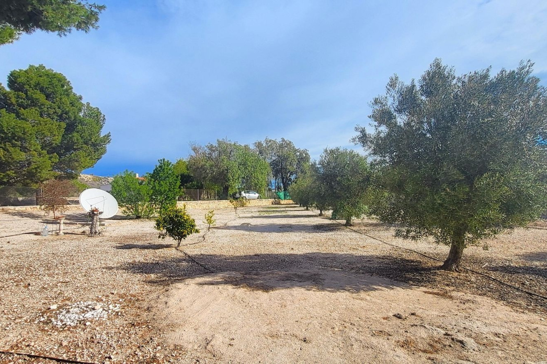 Revente - Maison de campagne -
Monovar