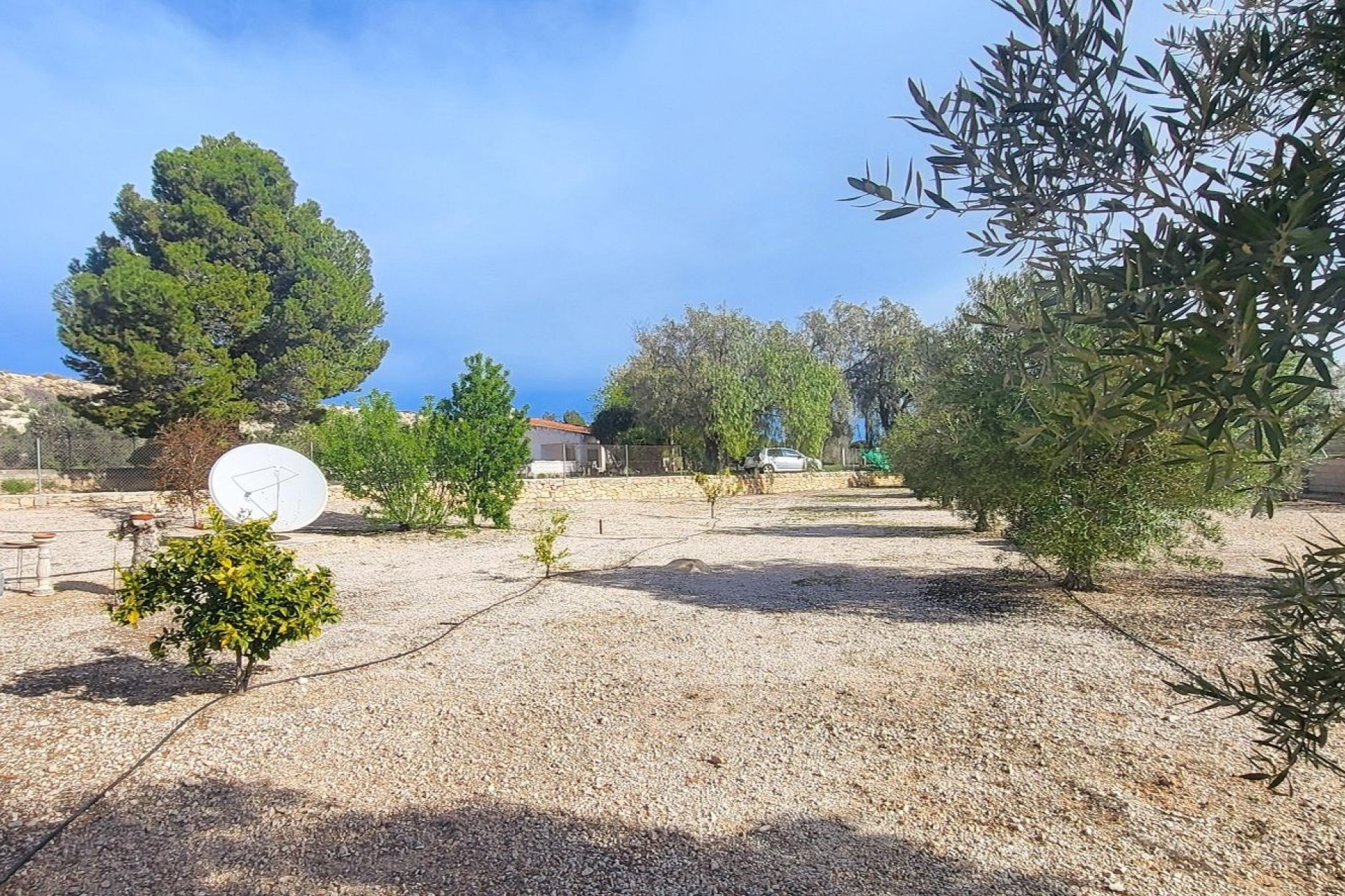 Revente - Maison de campagne -
Monovar