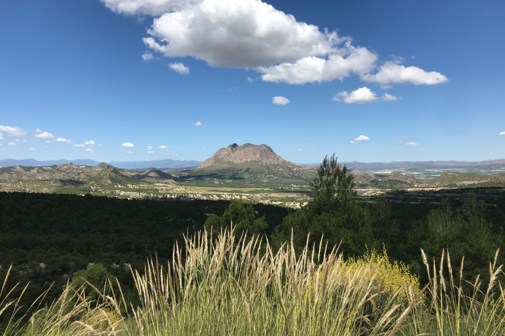 Revente - Maison de campagne -
Murcia