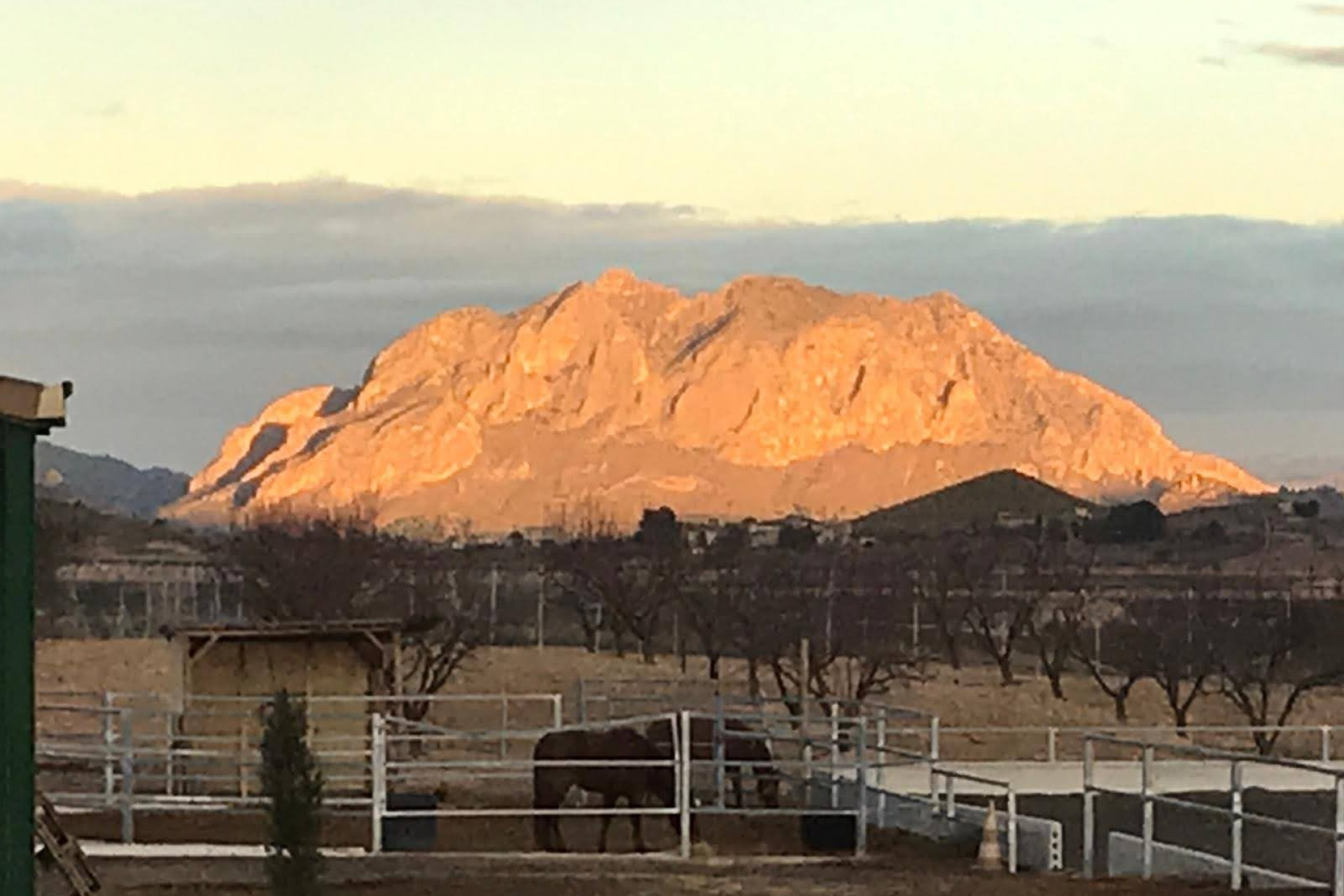 Revente - Maison de campagne -
Murcia