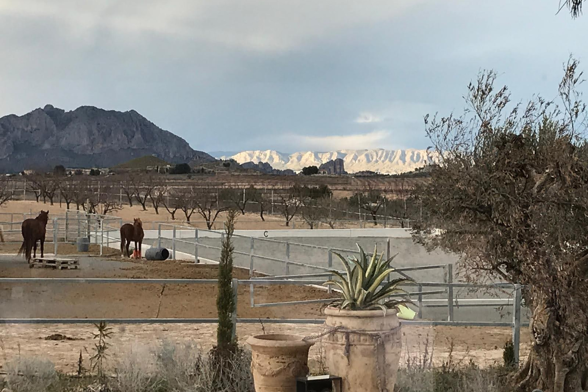 Revente - Maison de campagne -
Murcia