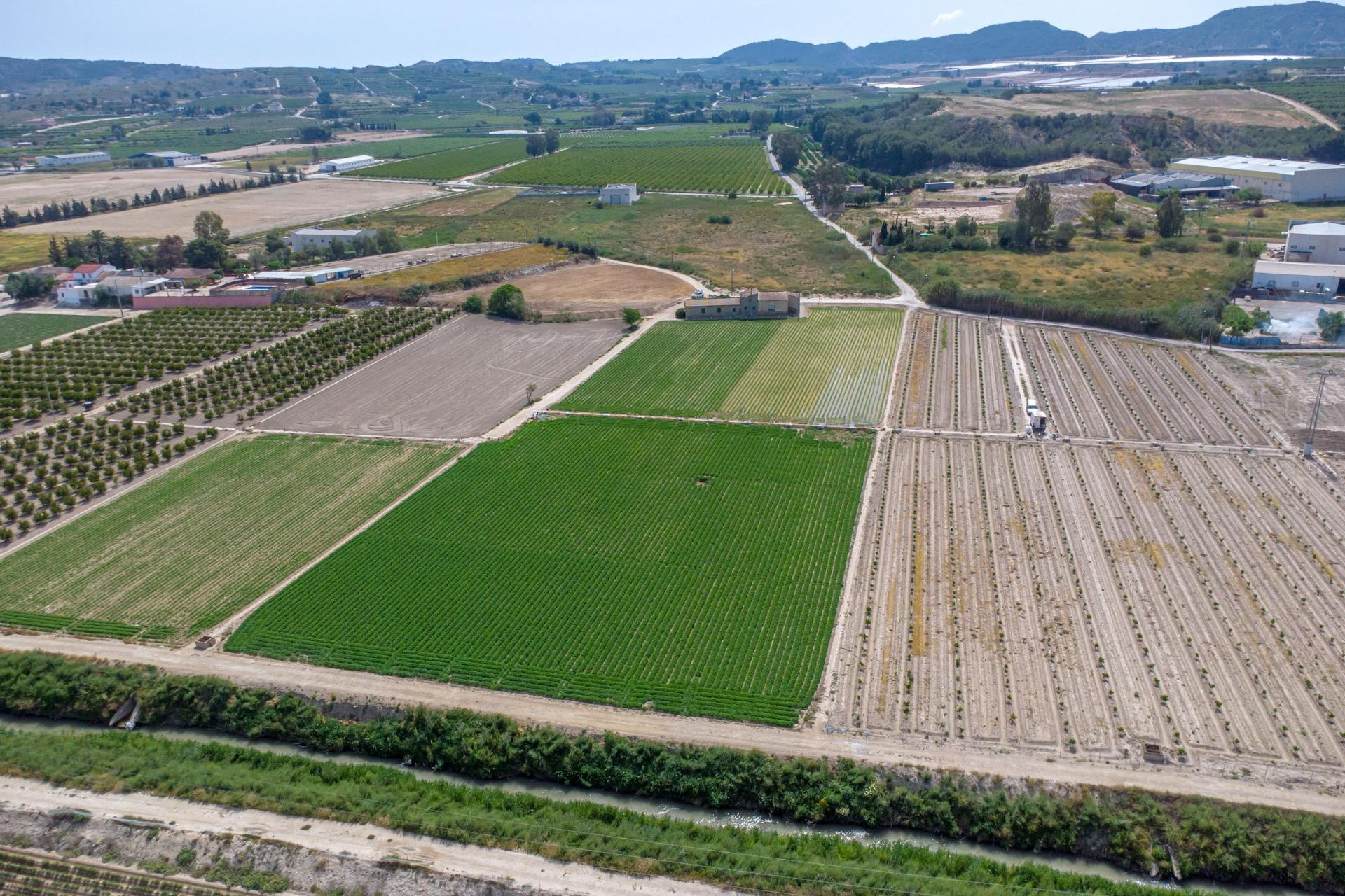 Revente - Maison de campagne -
Orihuela Costa - Desamparados-hurchillo-torremendo