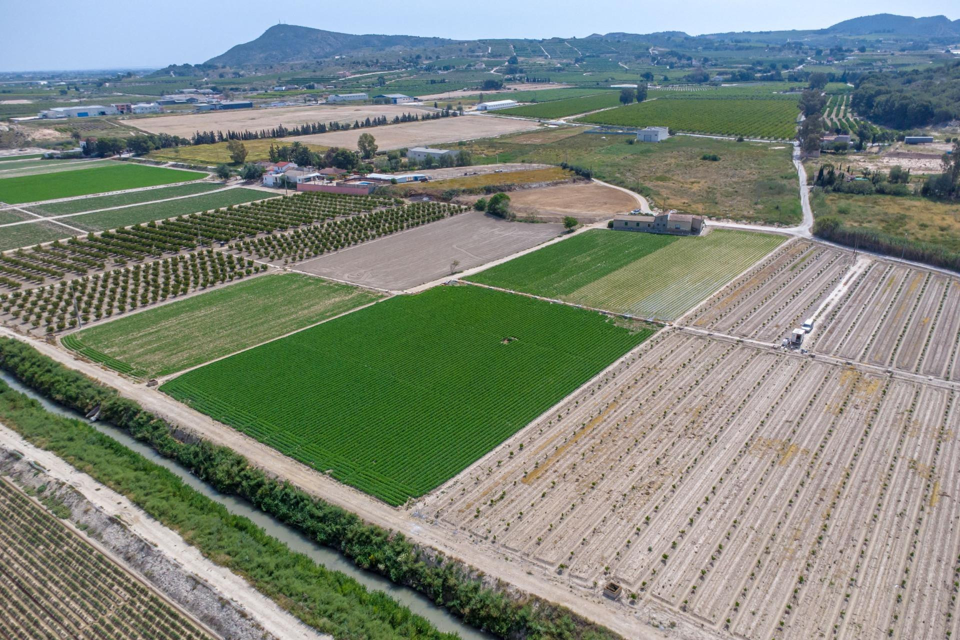 Revente - Maison de campagne -
Orihuela Costa - Desamparados-hurchillo-torremendo