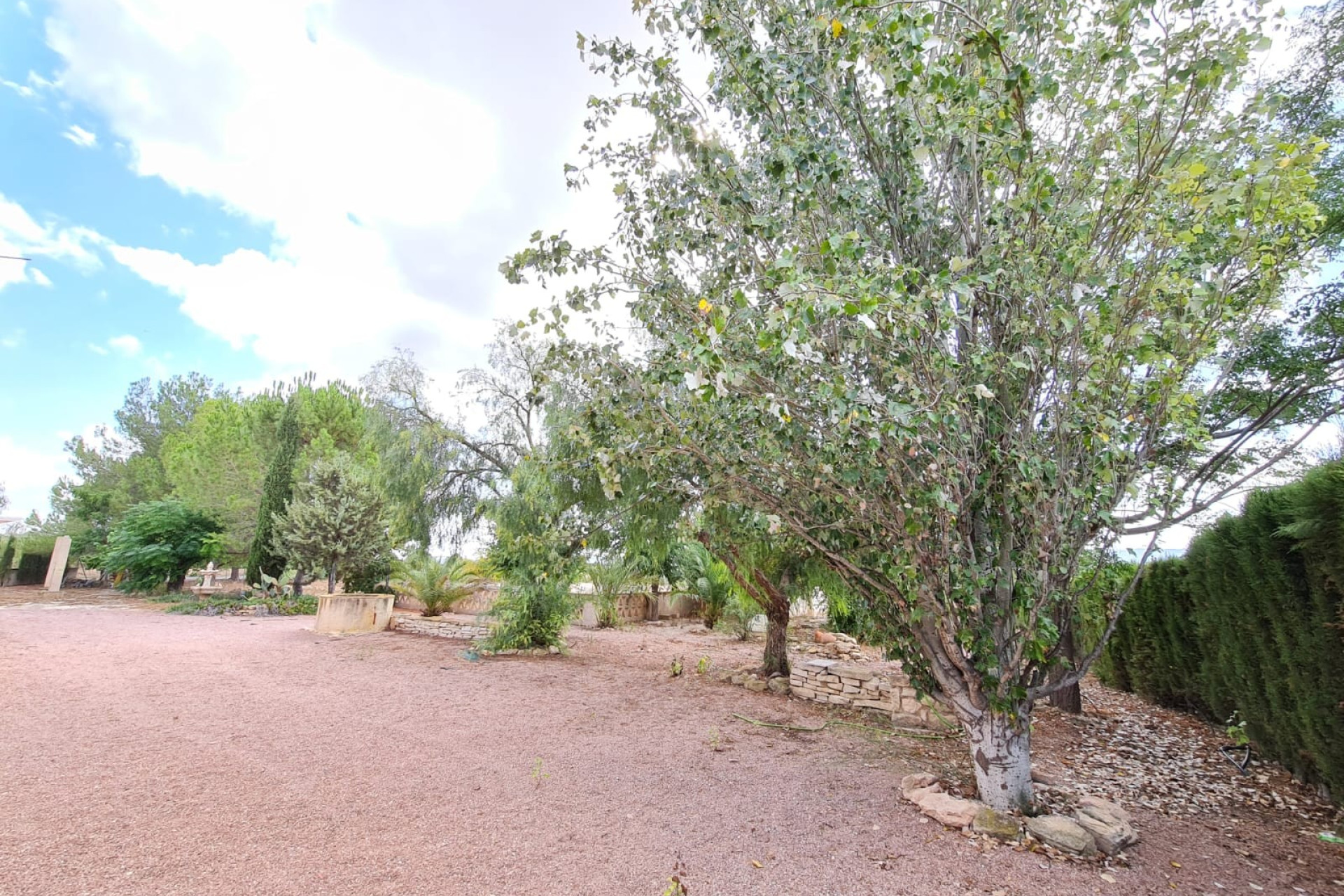 Revente - Maison de campagne -
Pinoso - PINOSO