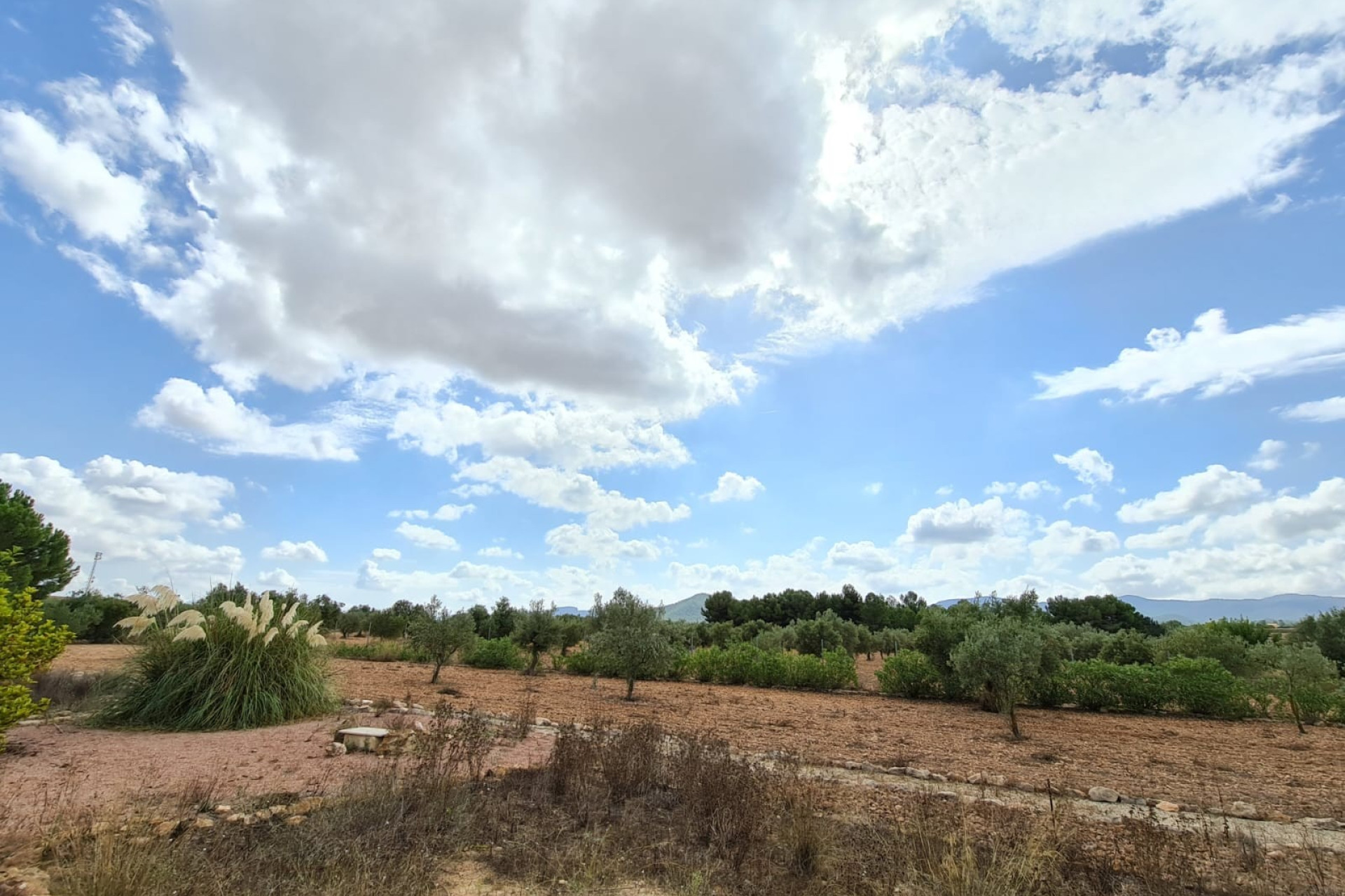 Revente - Maison de campagne -
Pinoso - PINOSO