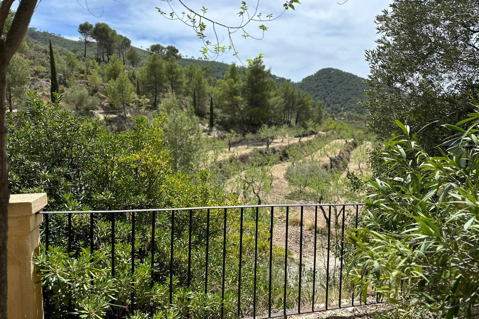 Revente - Maison de campagne -
Torremanzanas - Alicante